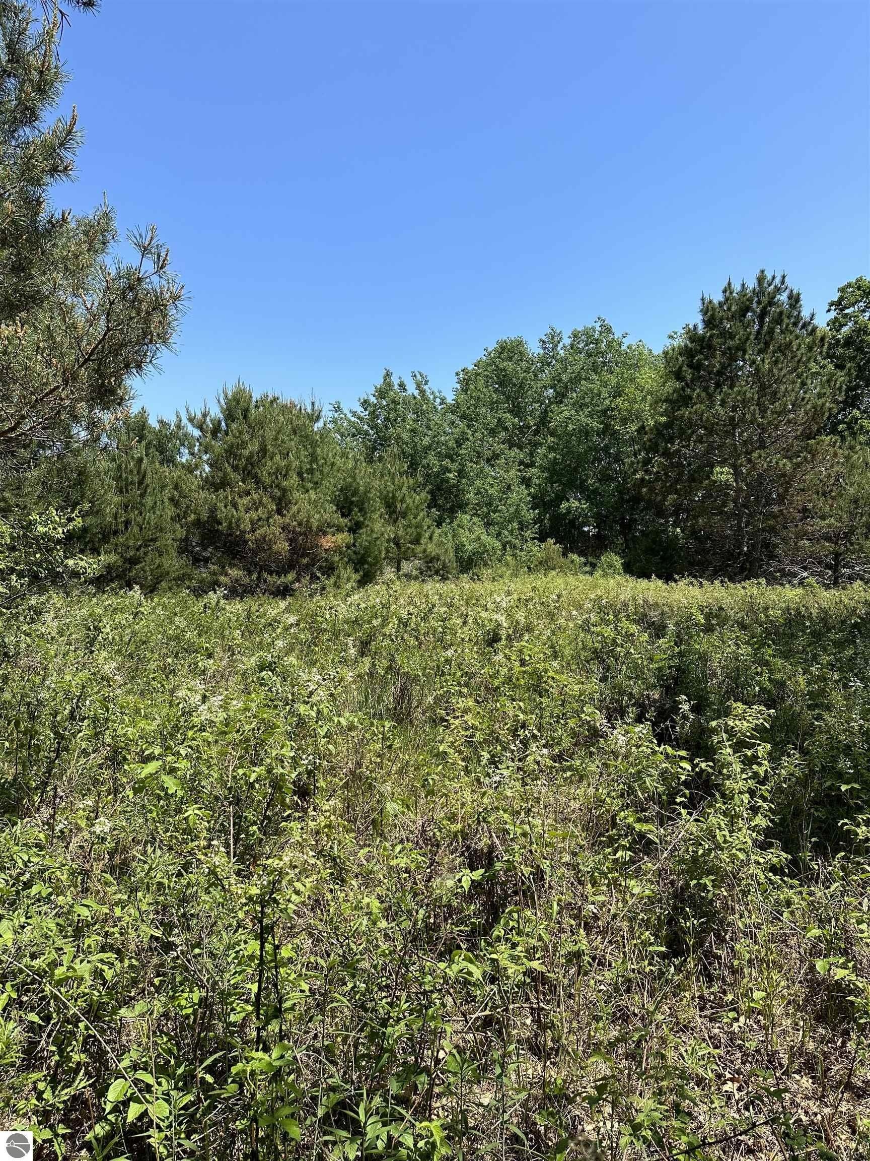 Lake, Clare County, MI Undeveloped Land, Lakefront Property, Waterfront