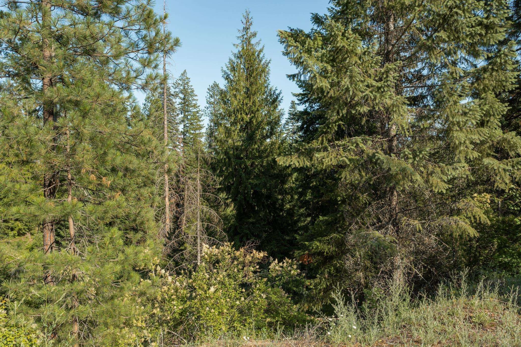 Clayton, Stevens County, WA Farms and Ranches for sale Property ID