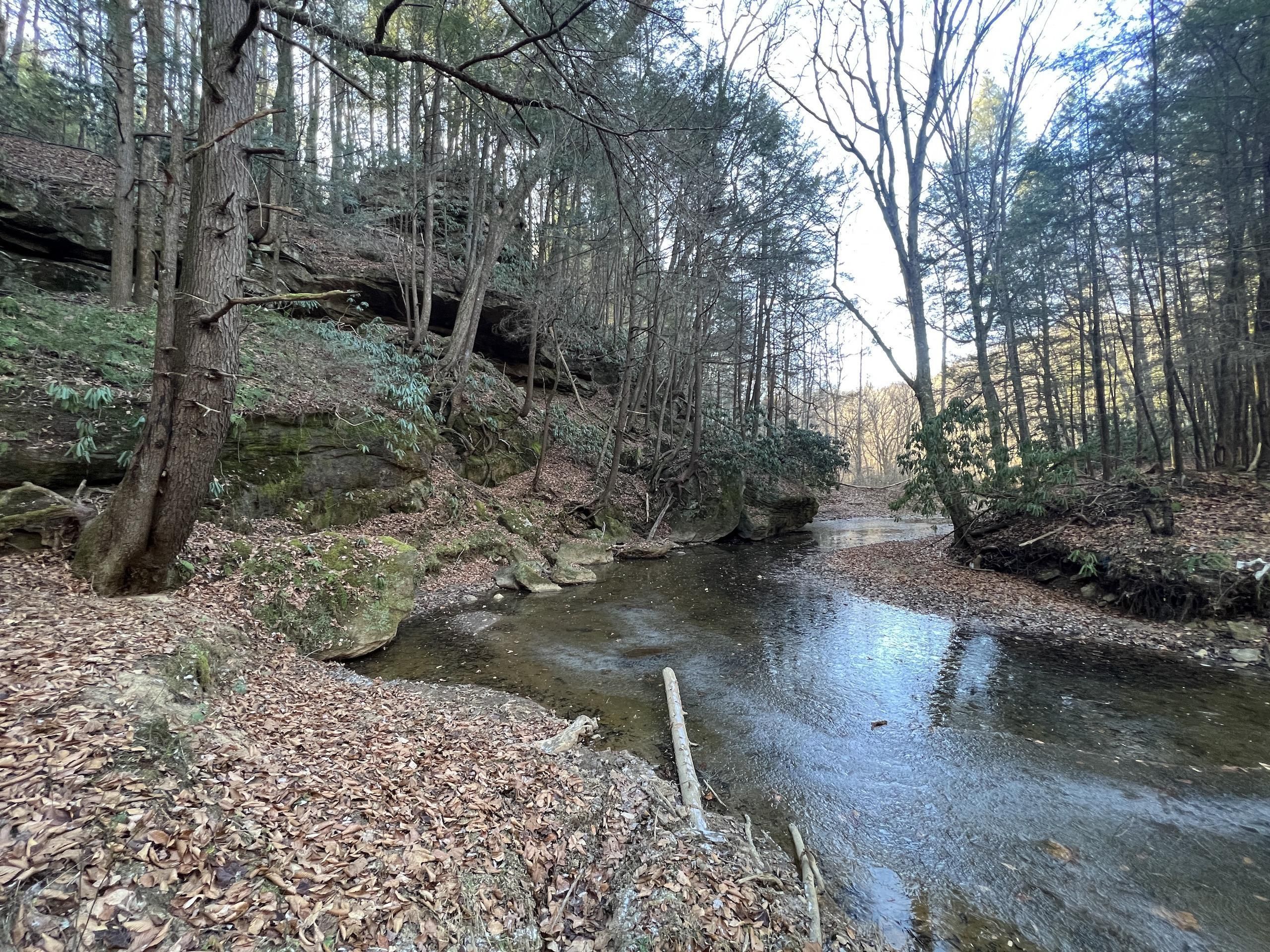 West Liberty, Elliott County, KY Hunting Property for sale Property ID