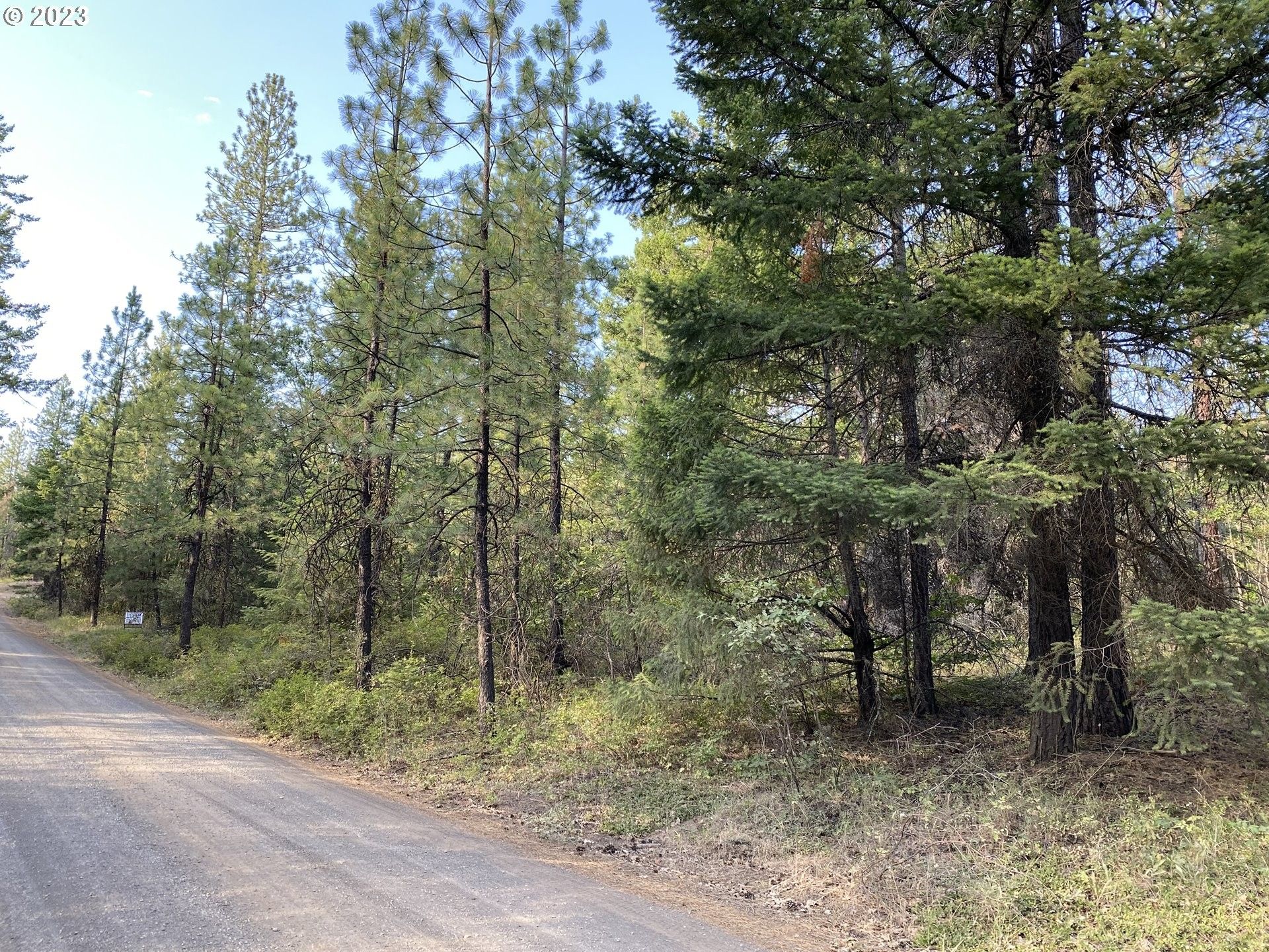 Goldendale, Klickitat County, WA Undeveloped Land, Homesites for sale