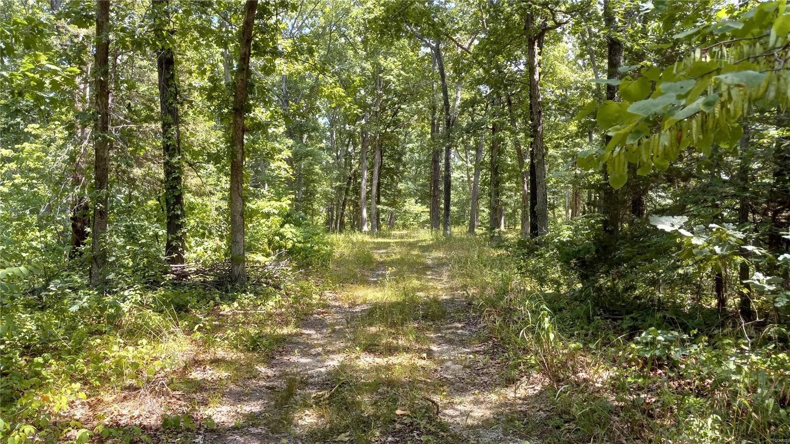 Wright City, Lincoln County, MO Farms and Ranches for sale Property ID