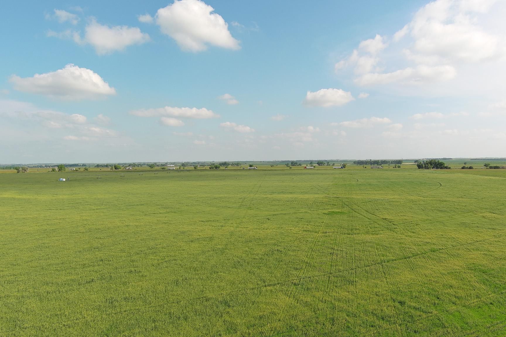 North Platte, Lincoln County, NE Farms and Ranches for auction Property