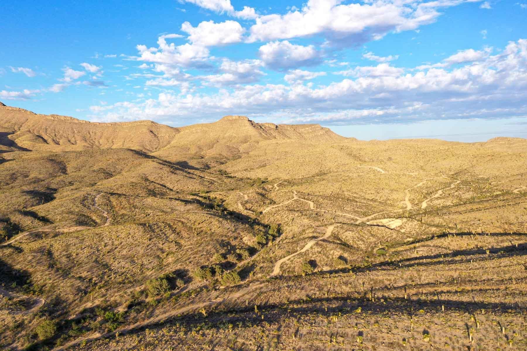 Sierra Blanca, Hudspeth County, TX Farms and Ranches, Hunting Property