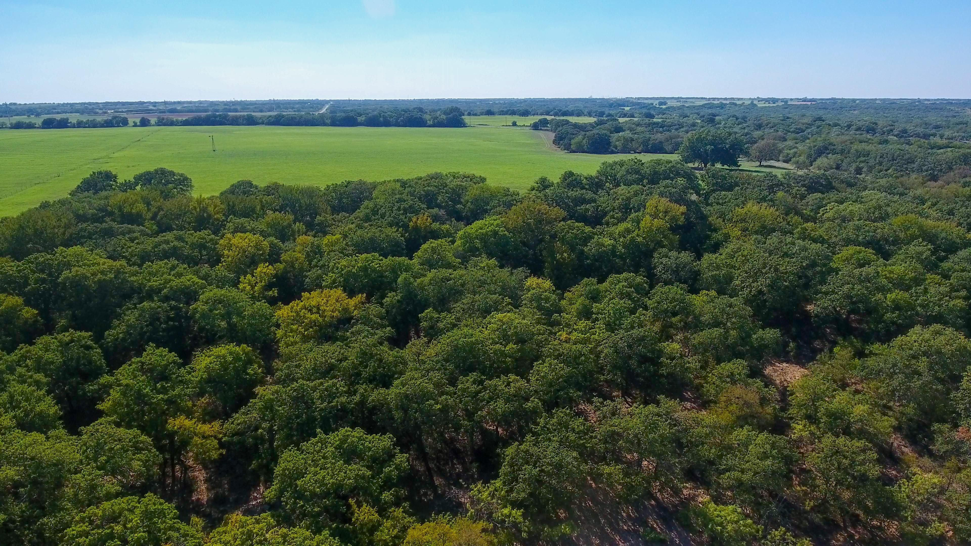 Desdemona, Eastland County, TX Farms and Ranches, Recreational Property