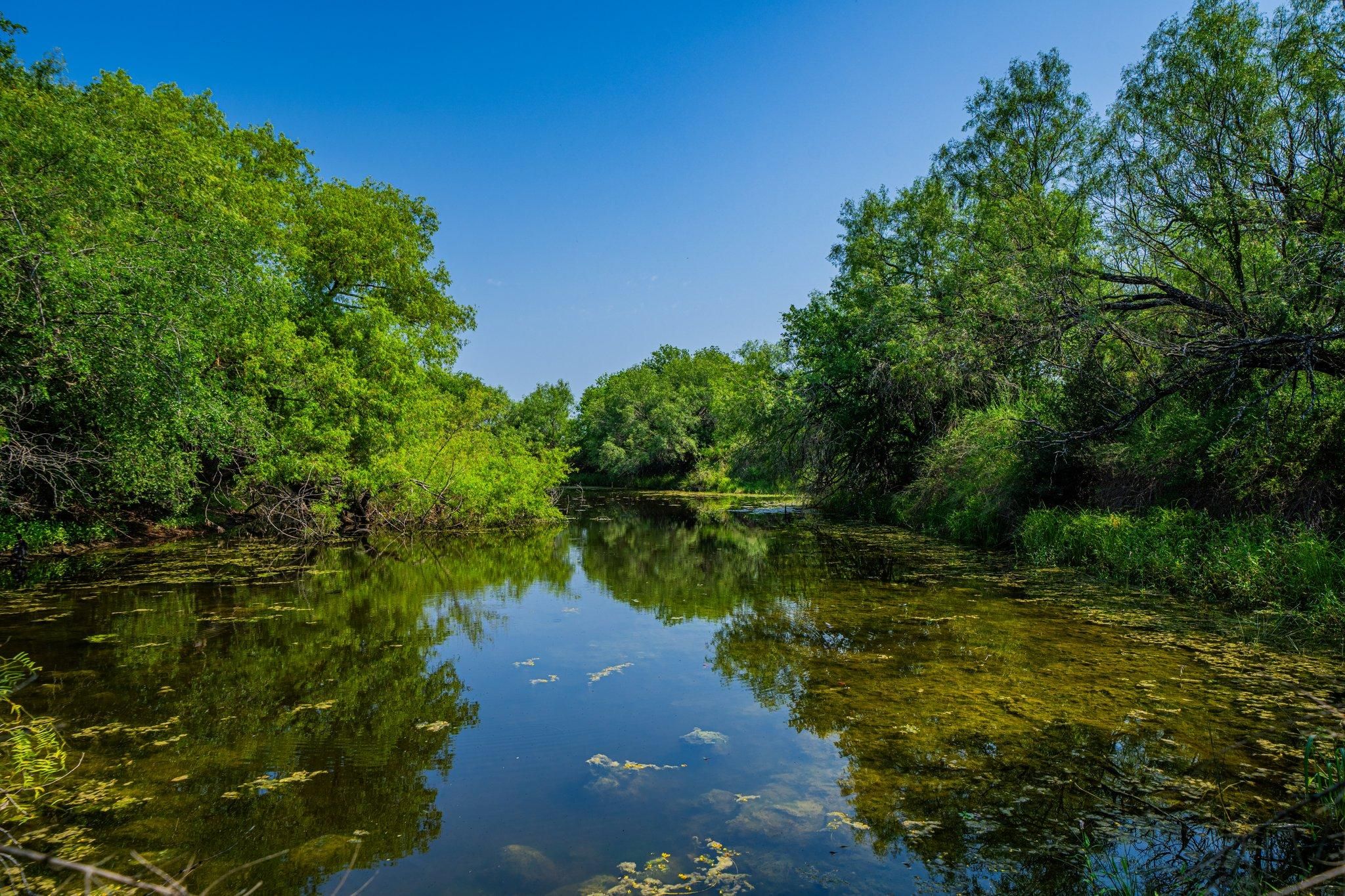 Pearsall, Frio County, TX Homesites for sale Property ID 416937396