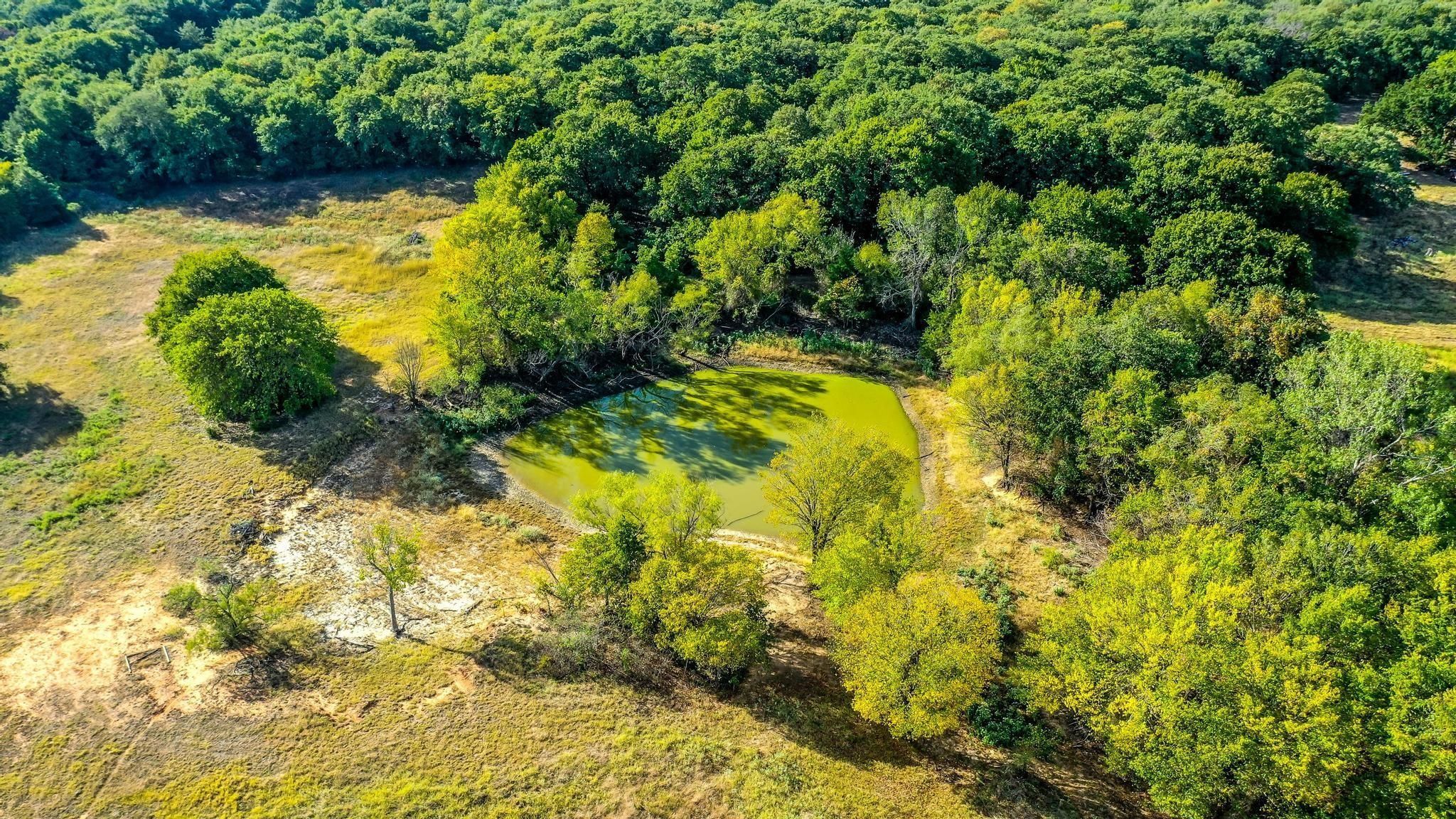 Springtown, Wise County, TX Farms and Ranches, Recreational Property