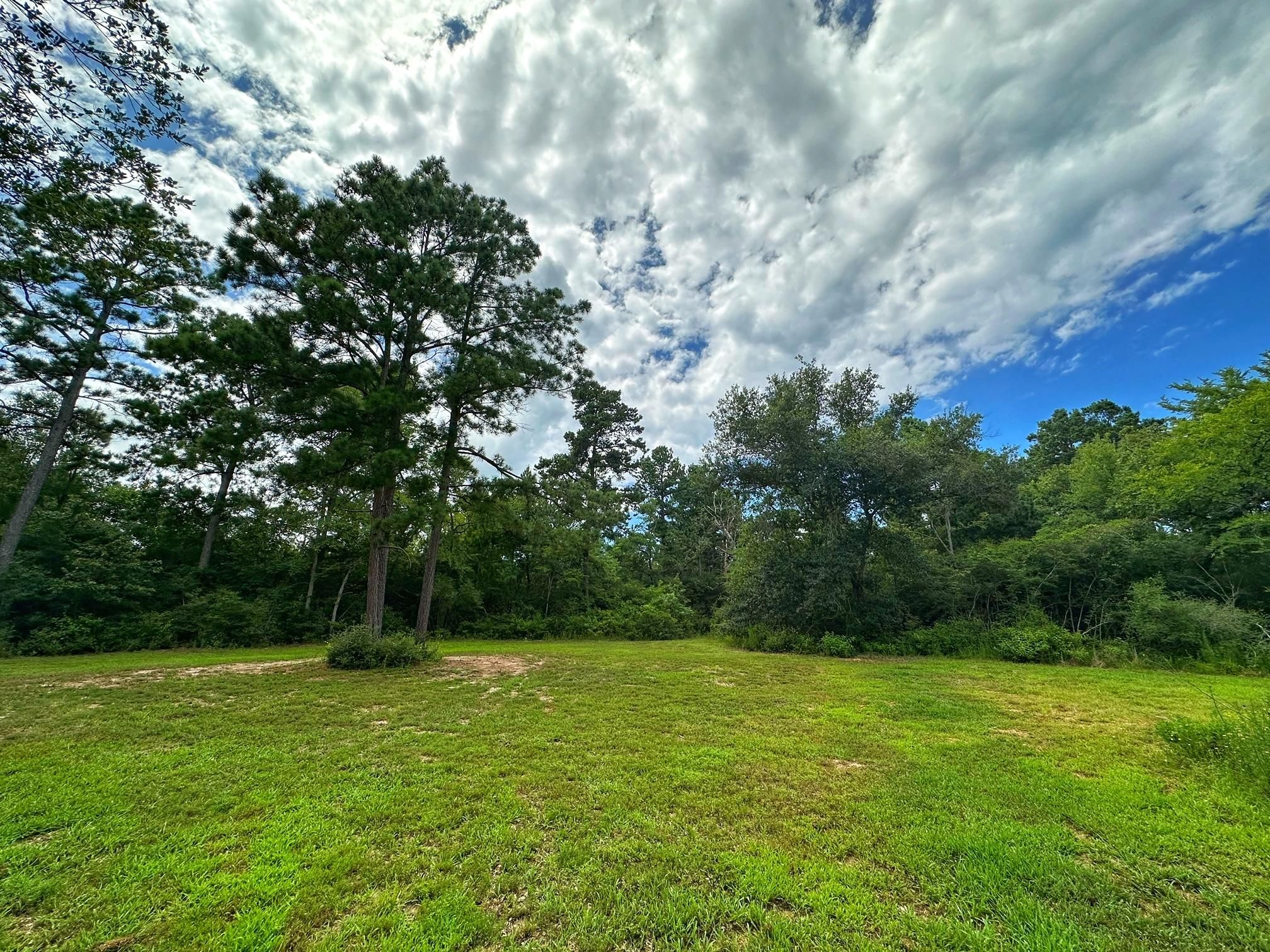 Centerville, Leon County, TX Recreational Property, Hunting Property