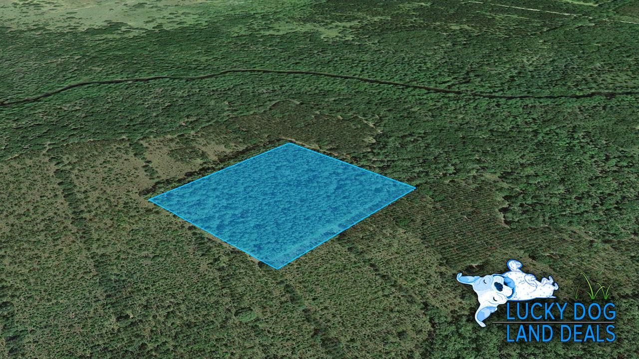 Bunnell, Flagler County, FL Recreational Property, Undeveloped Land for