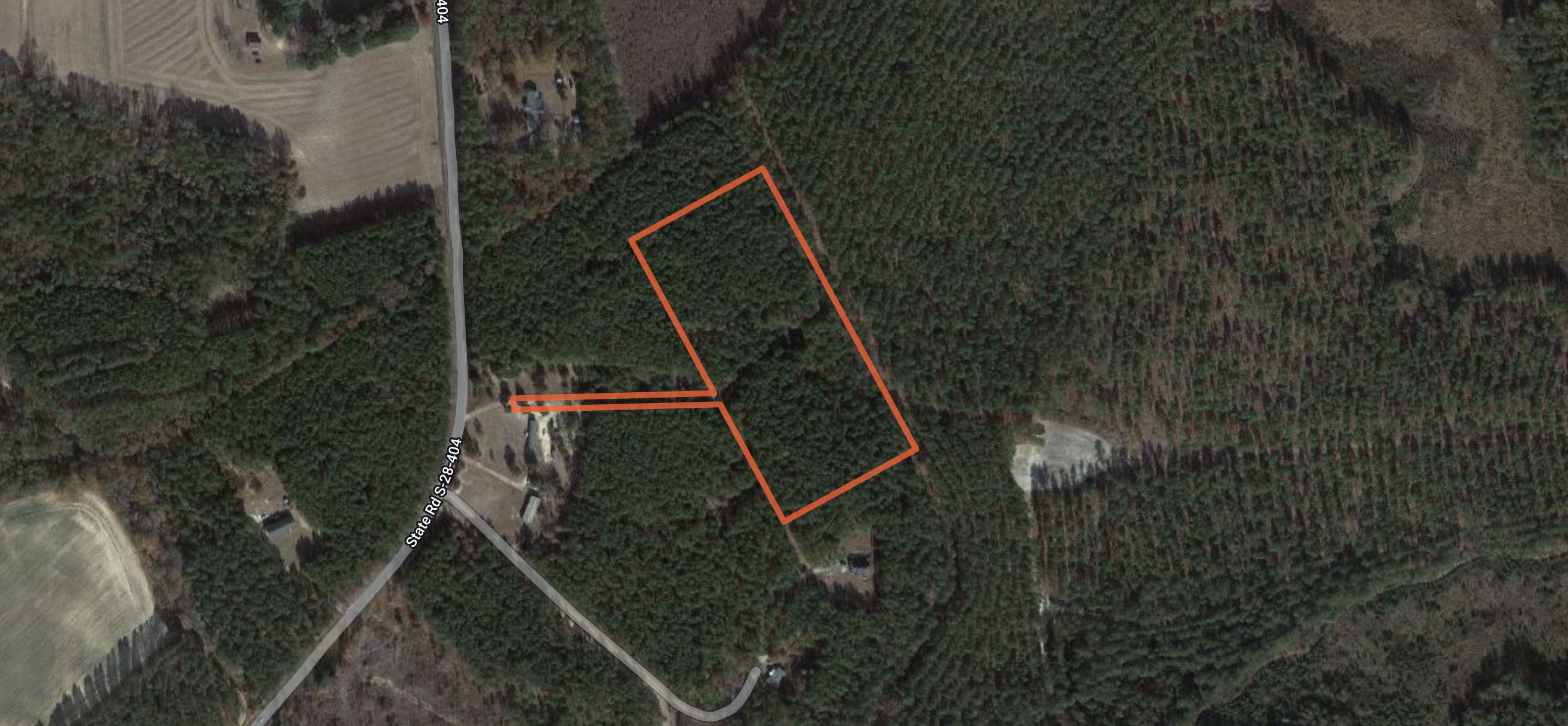 Lee County, SC Timberland Property, Hunting Property for