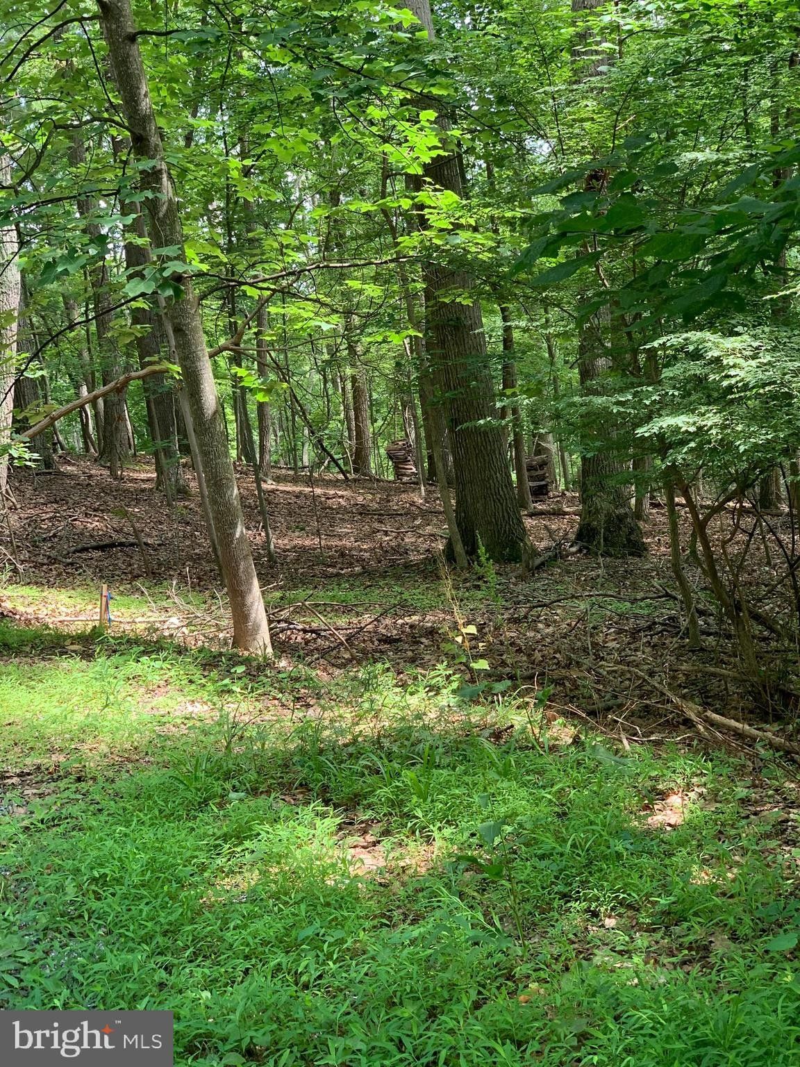 Boyce, Clarke County, VA Undeveloped Land for sale Property ID