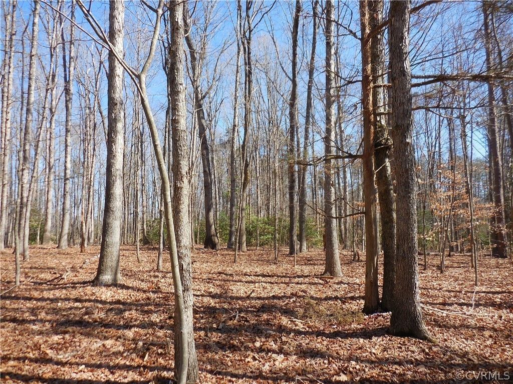 Louisa, Goochland County, VA Undeveloped Land for sale Property ID