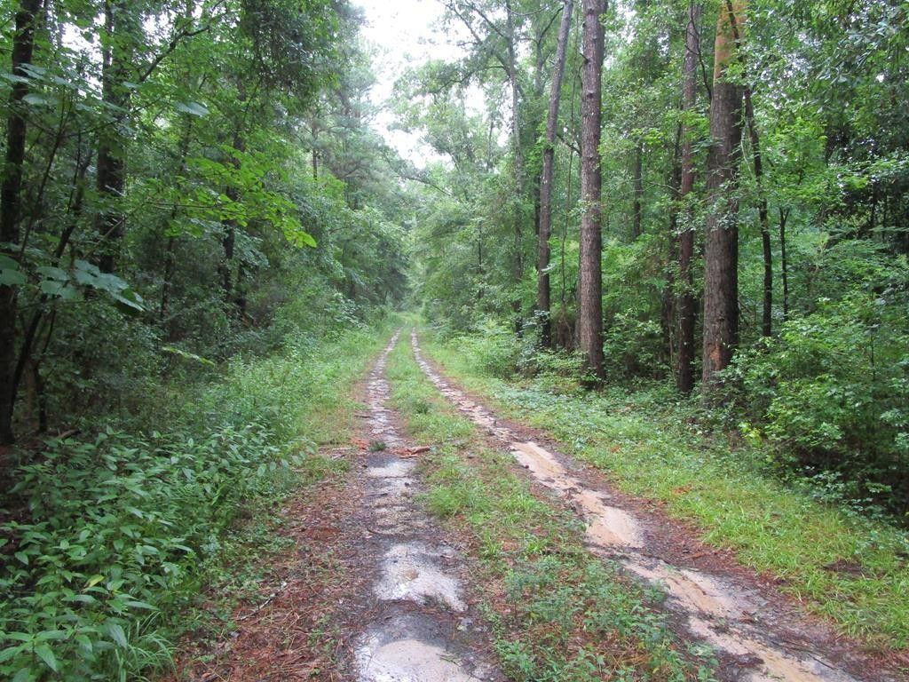 0000 Tired Creek Rd, Whigham, GA 39897 MLS 11526 LandWatch