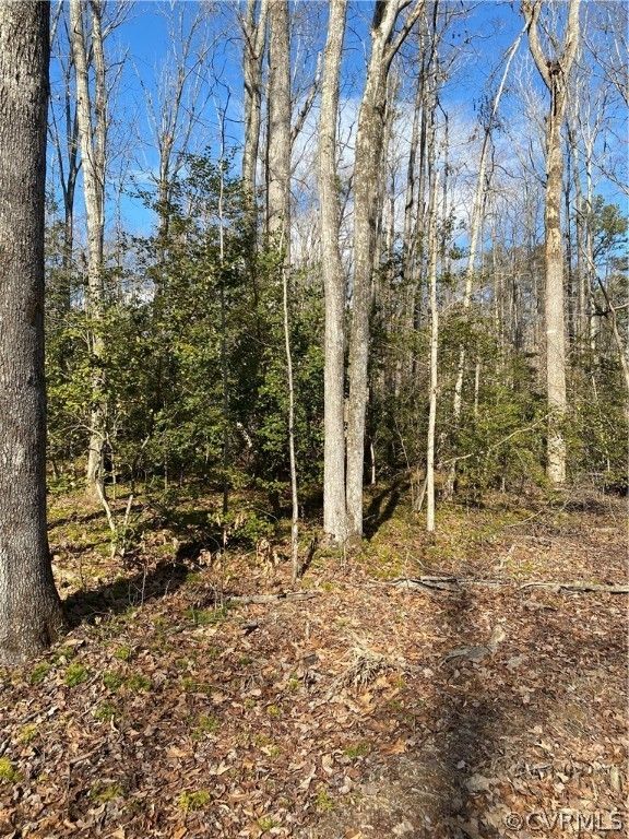 Goochland, Goochland County, VA Farms and Ranches, Homesites for sale