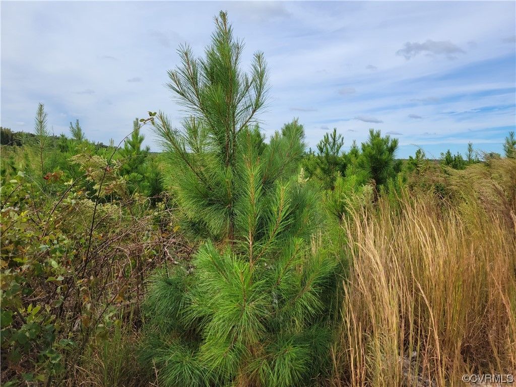 Amelia, Amelia County, VA Undeveloped Land, Lakefront Property
