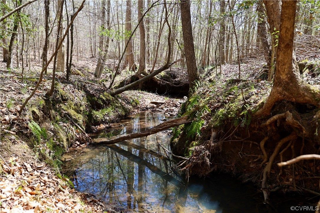 Goochland, Goochland County, VA Undeveloped Land for sale Property ID