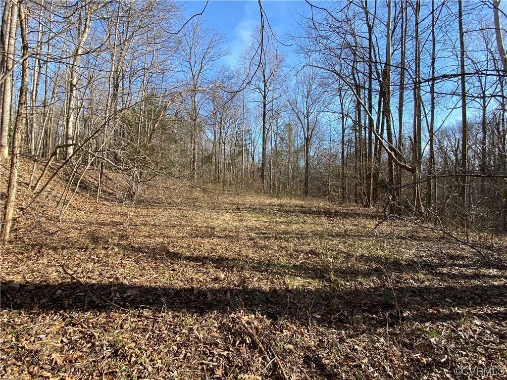 Mineral, Louisa County, VA Farms and Ranches for sale Property ID