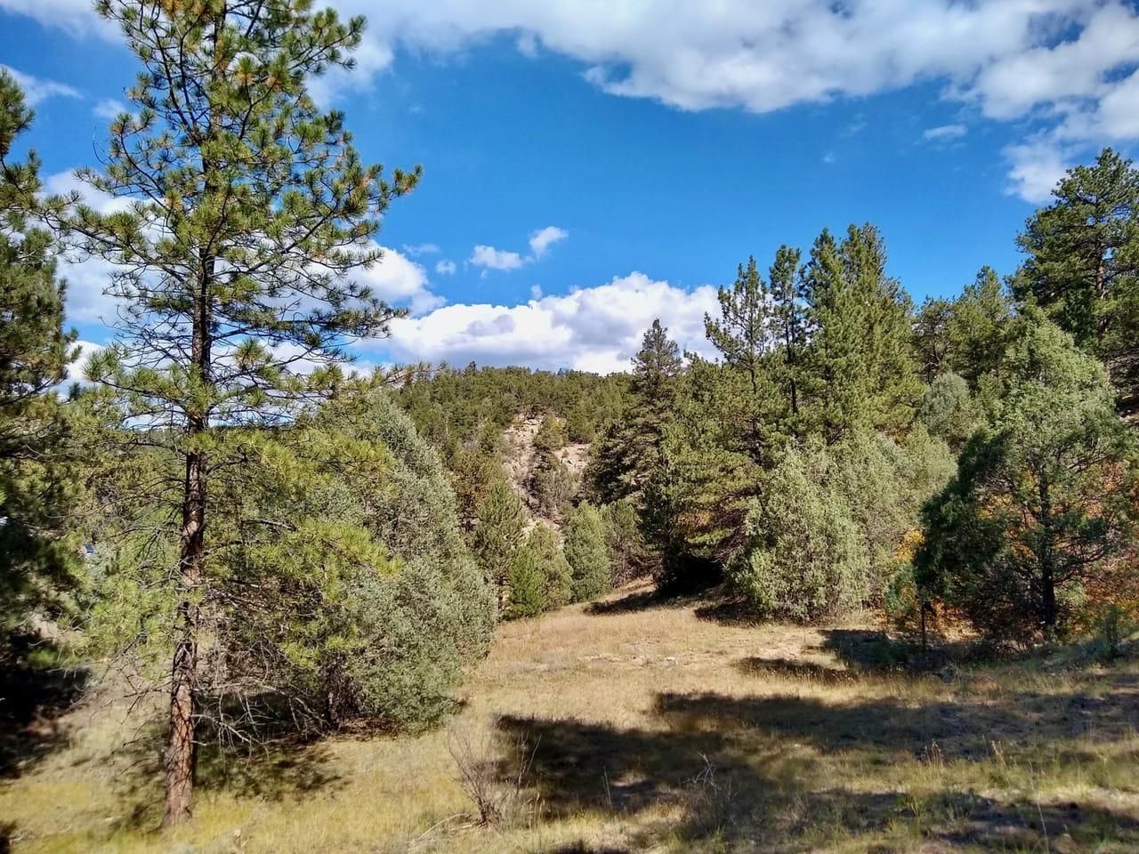 Texas Creek, Fremont County, CO Recreational Property, Undeveloped Land, Hunting Property for