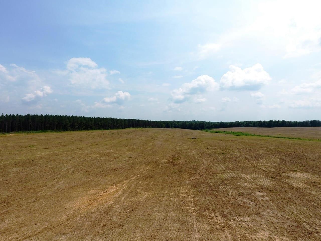 Cypress Inn, Wayne County, TN Farms and Ranches, Recreational Property