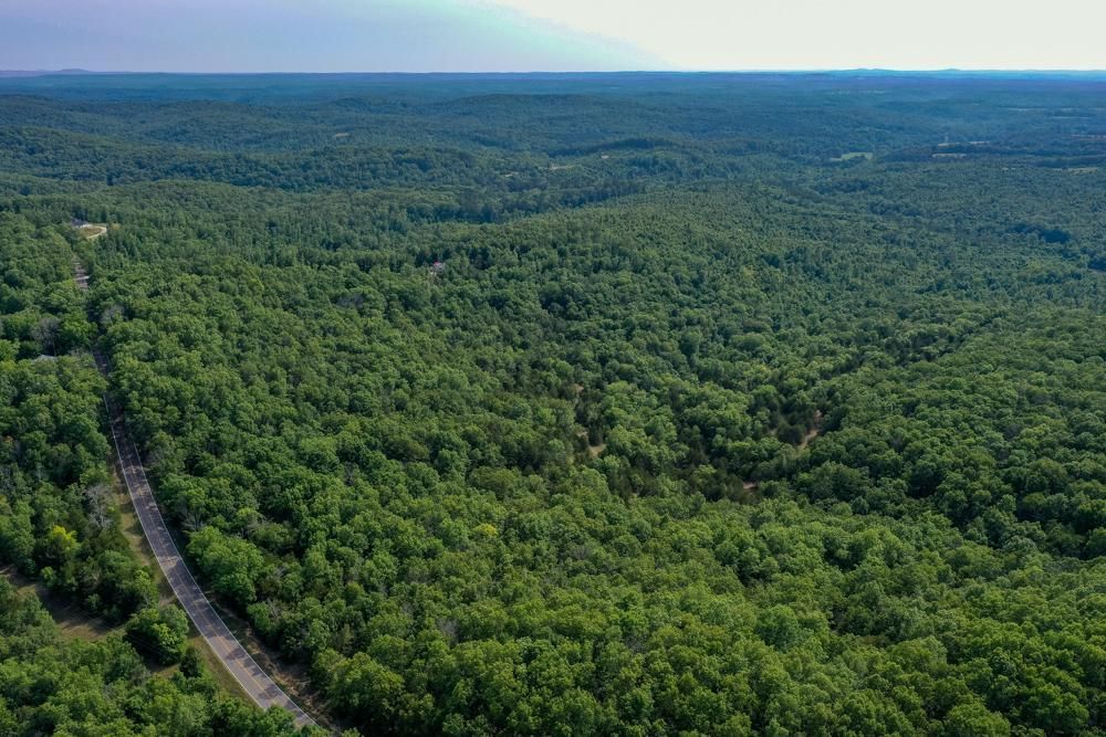 Norwood, Douglas County, MO Recreational Property, Timberland Property