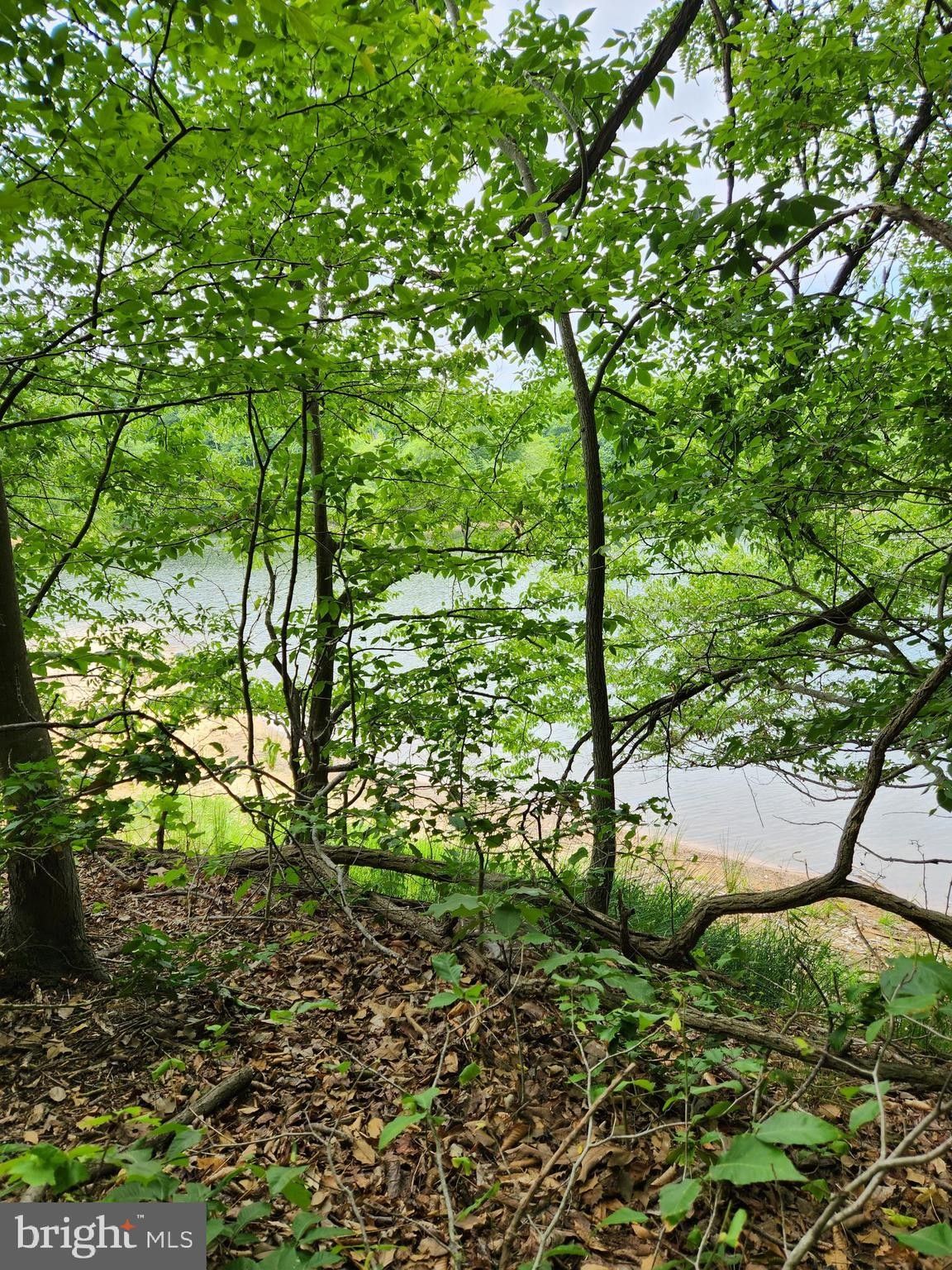 Montross, Westmoreland County, VA Farms and Ranches, Lakefront Property