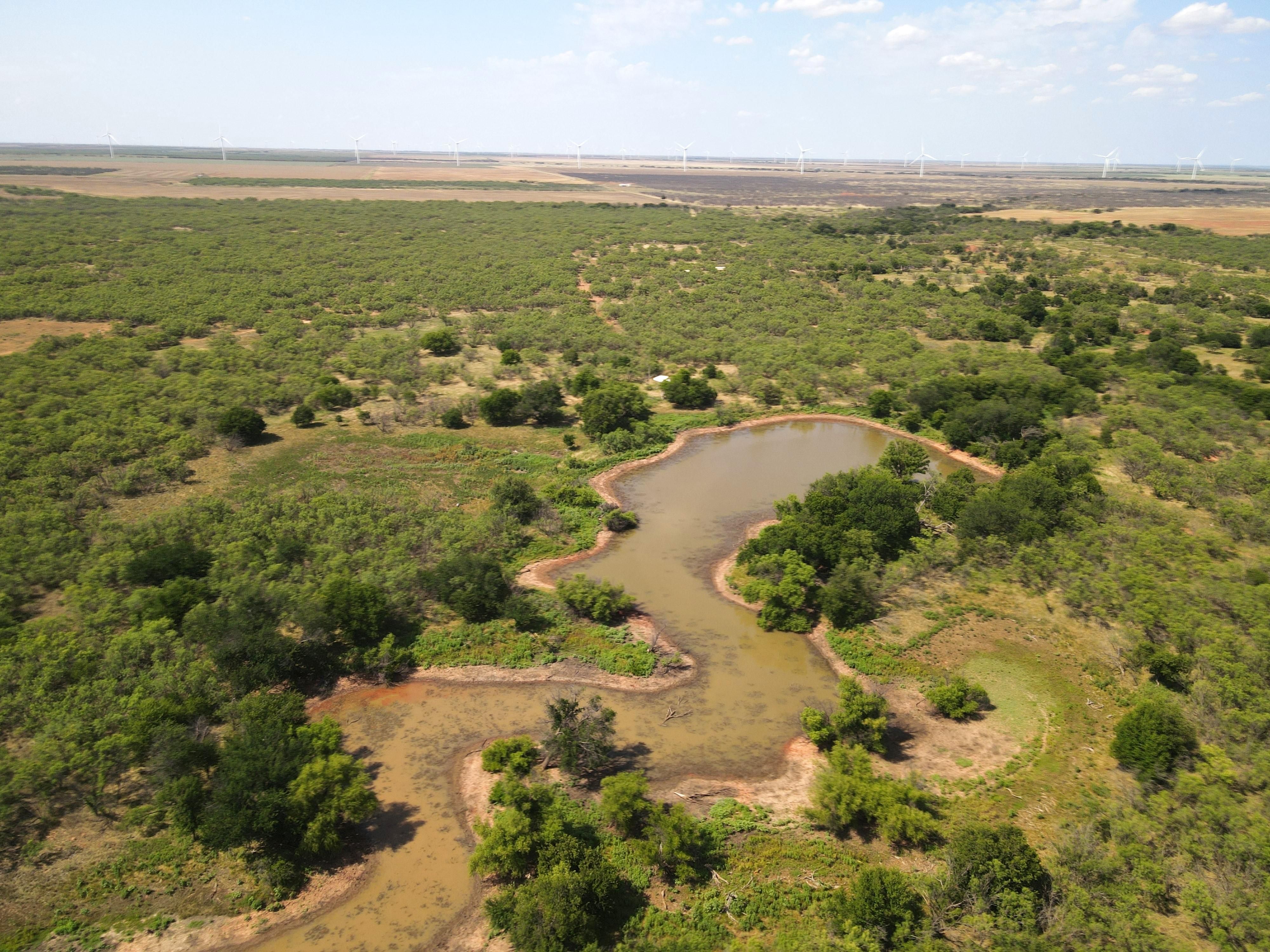 978 Acres FM 266, Weinert, TX 76388 MLS 20377437 LandWatch