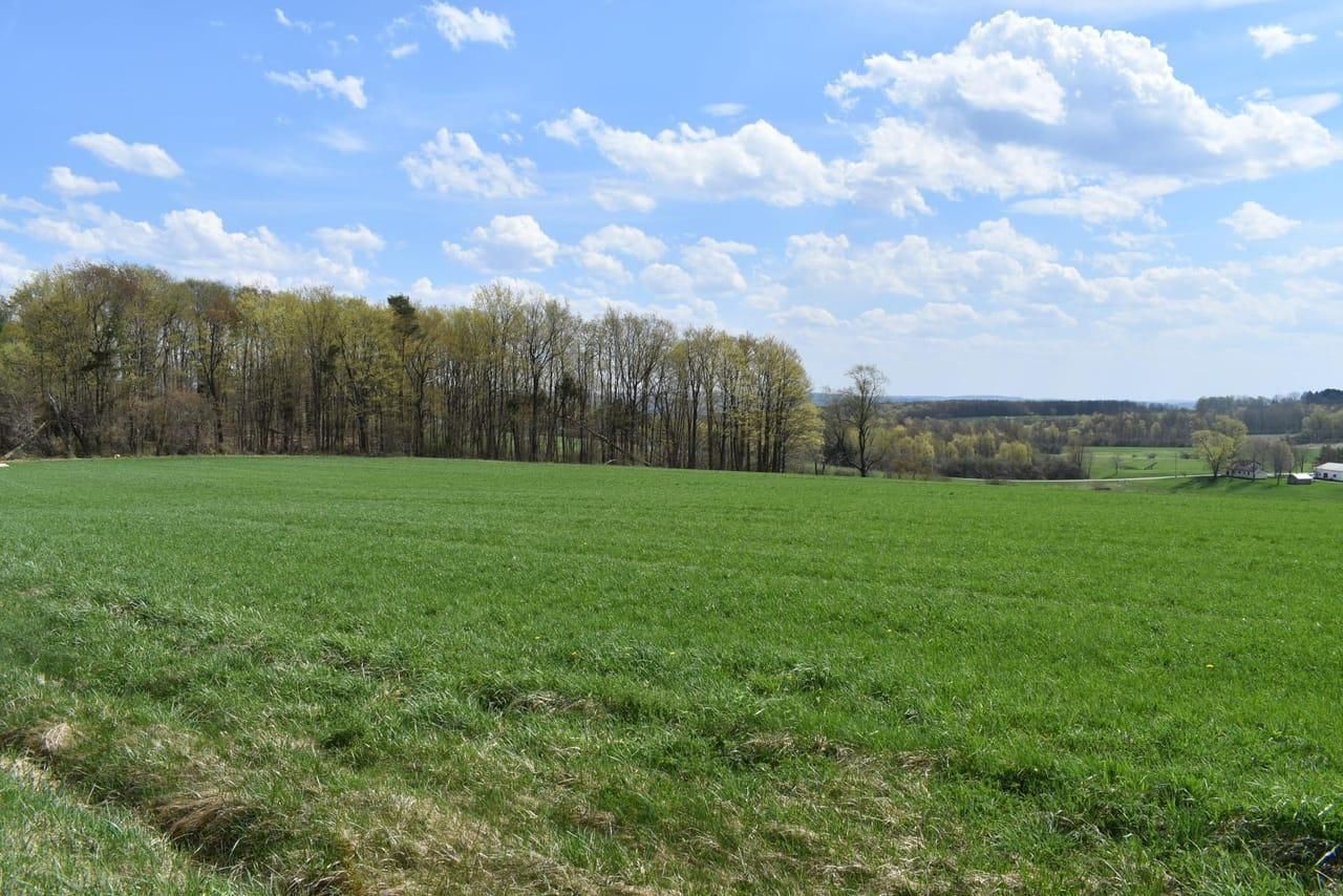 Falconer, Chautauqua County, NY Recreational Property, Undeveloped Land, Hunting Property for