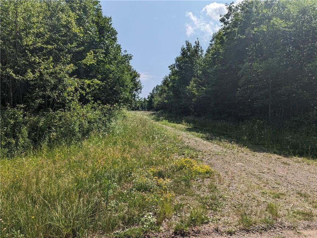 Rib Lake, Taylor County, WI Undeveloped Land for sale Property ID