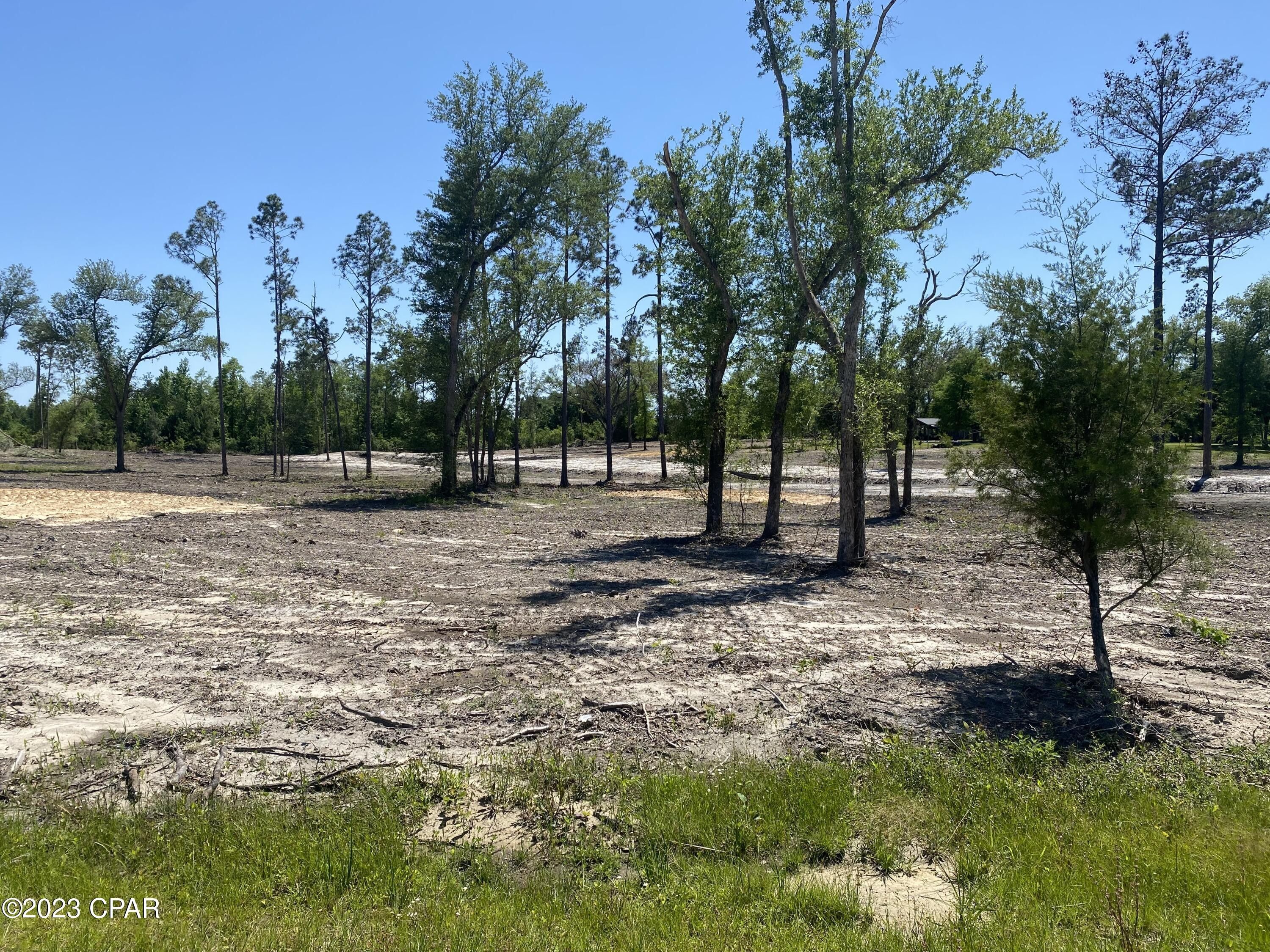 Marianna, Jackson County, FL Undeveloped Land for sale Property ID