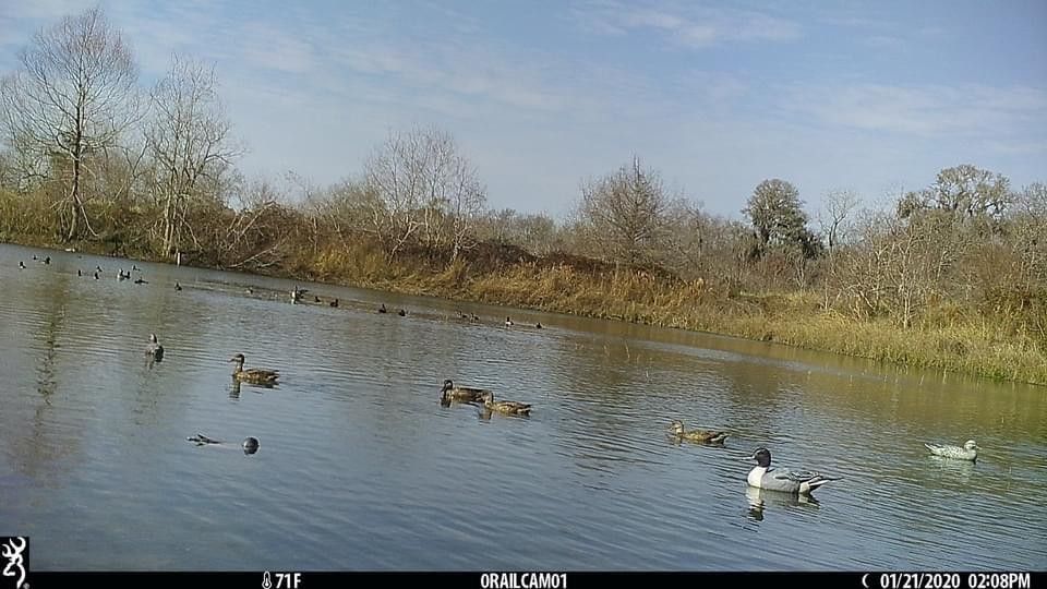 Cedar Lane, Matagorda County, TX Undeveloped Land for sale Property ID