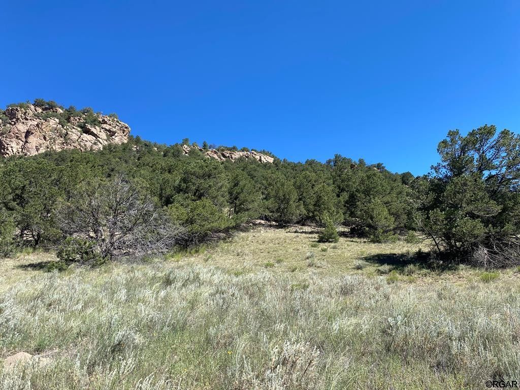 Canon City, Fremont County, CO Undeveloped Land for sale Property ID