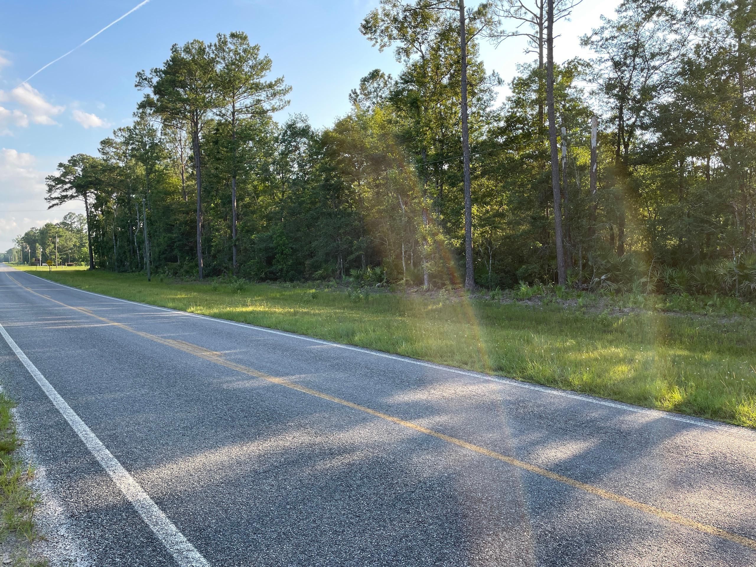 Waynesville, Brantley County, GA Recreational Property, Timberland