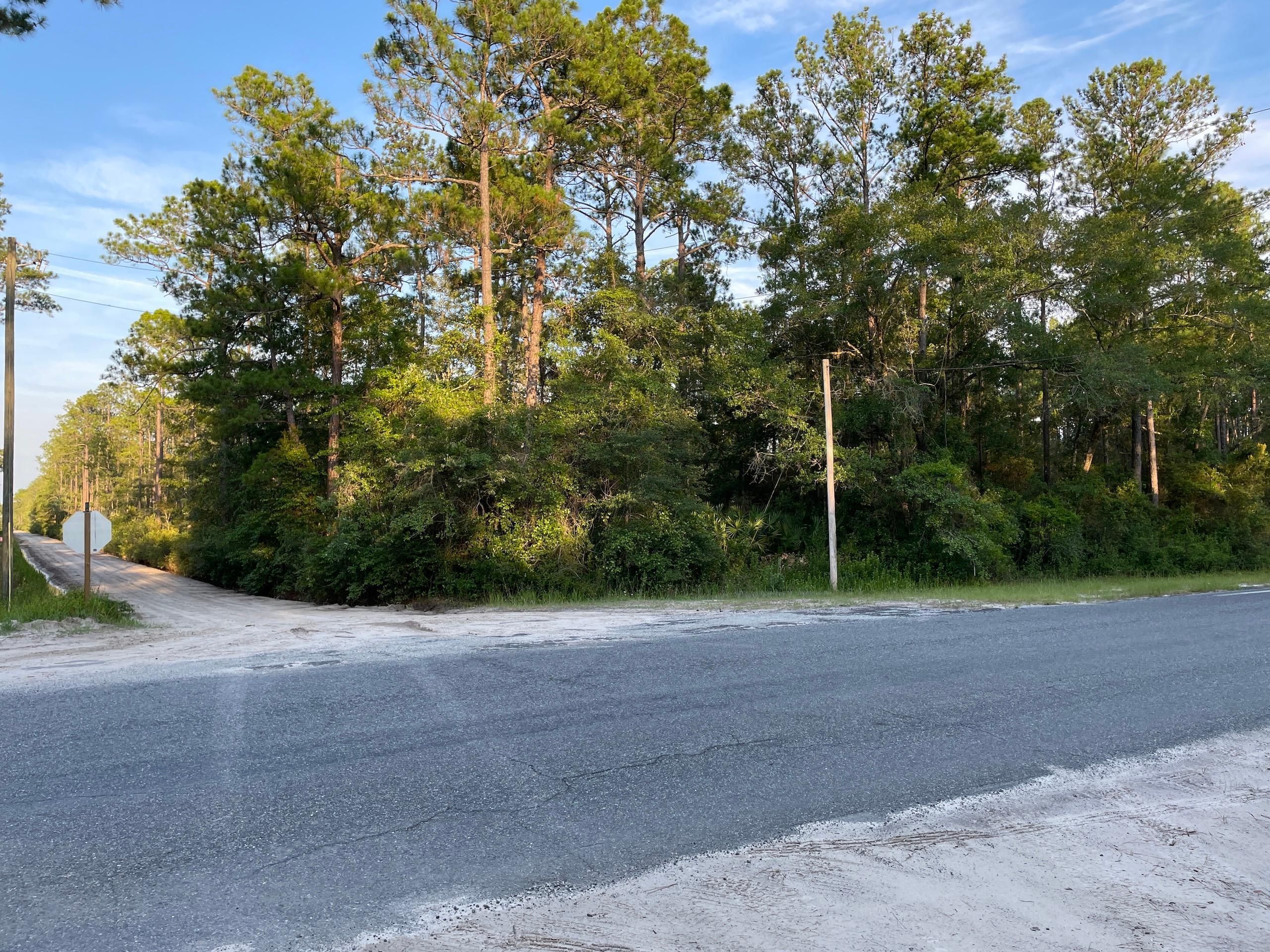 Waynesville, Brantley County, GA Recreational Property, Timberland