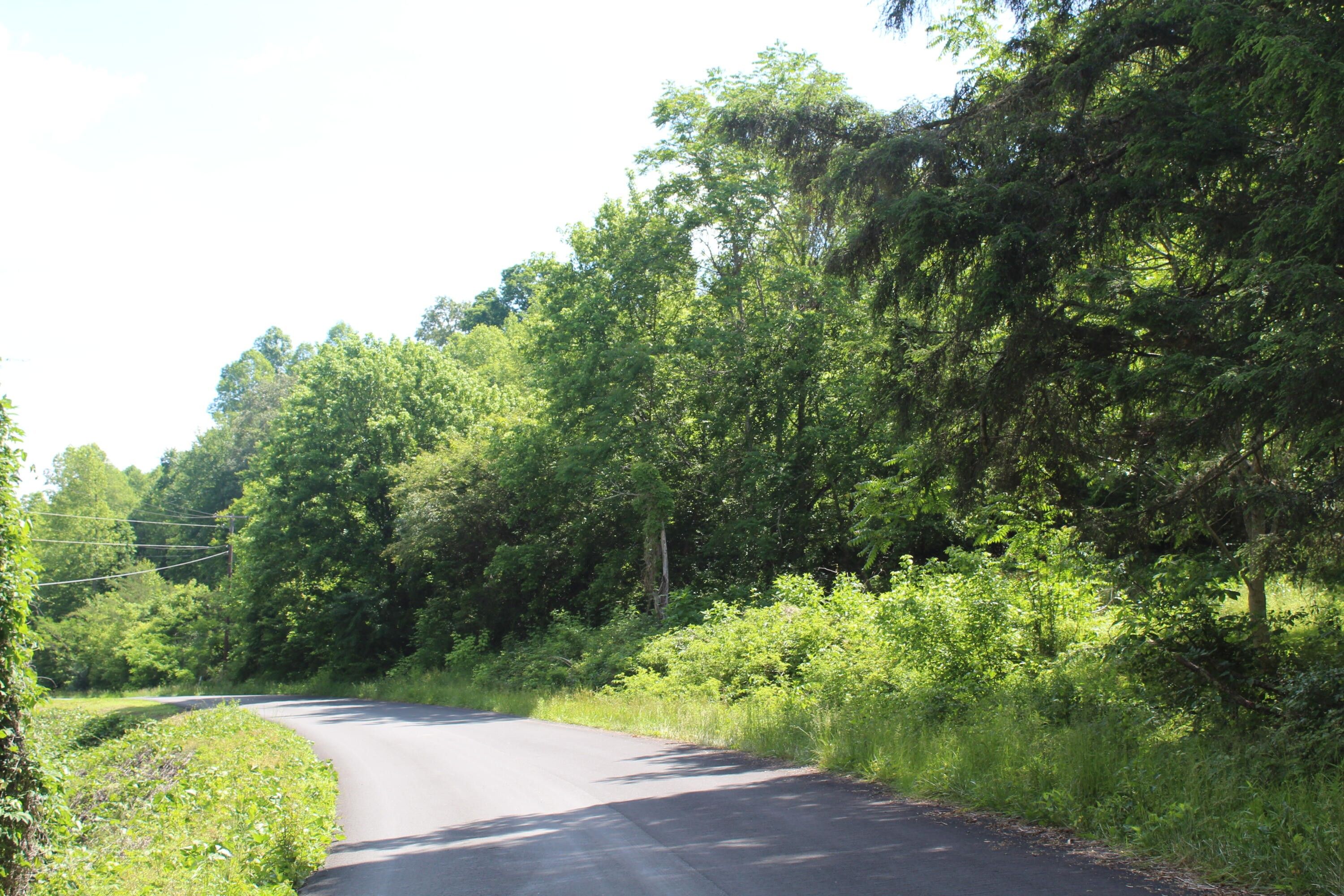 Pennington Gap, Lee County, VA Undeveloped Land for sale Property ID