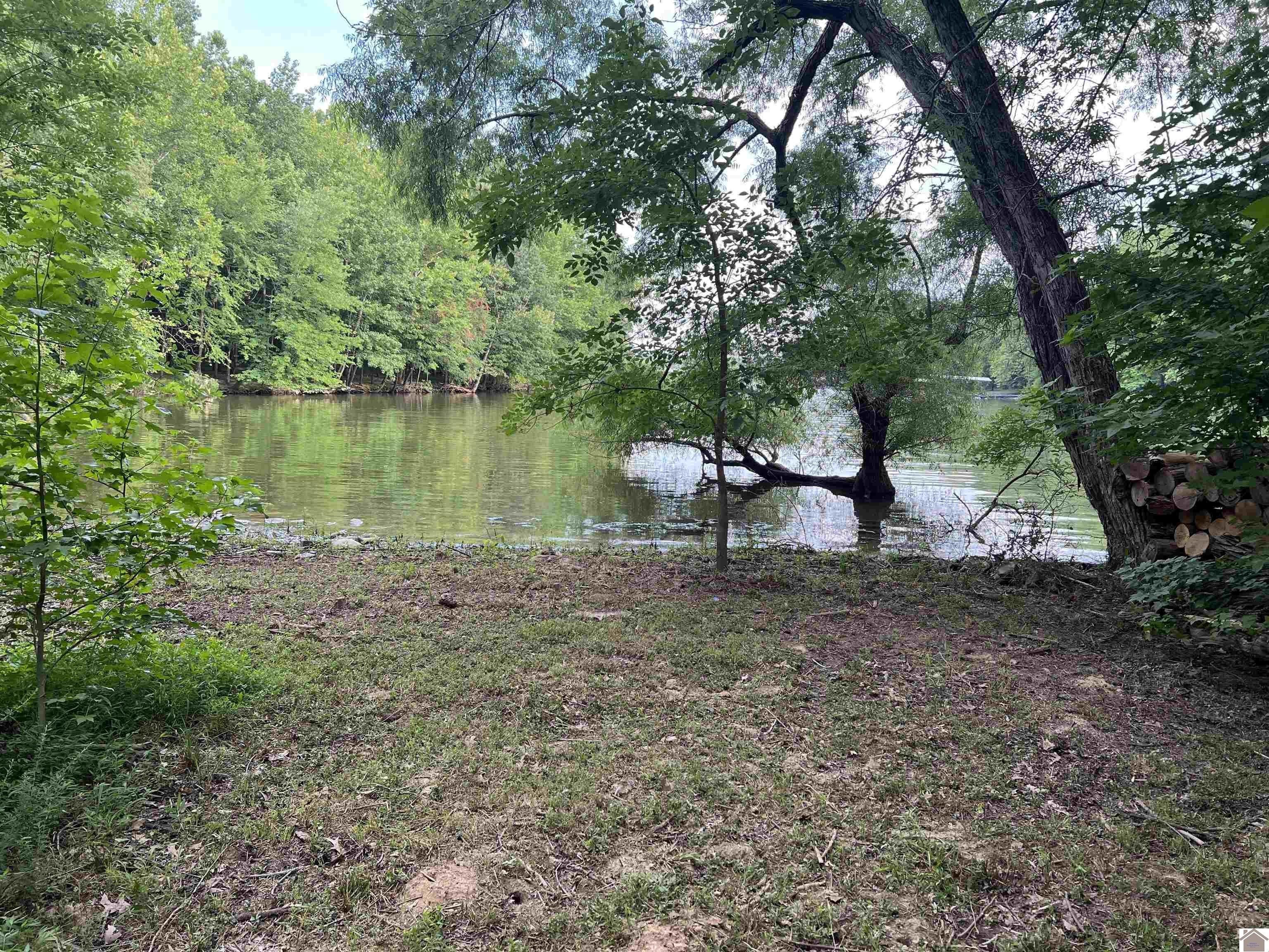 Eddyville, Lyon County, KY Farms and Ranches, Lakefront Property