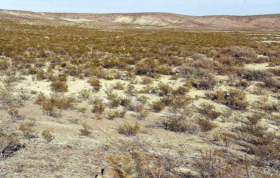 Valentine, Jeff Davis County, TX Recreational Property, Undeveloped