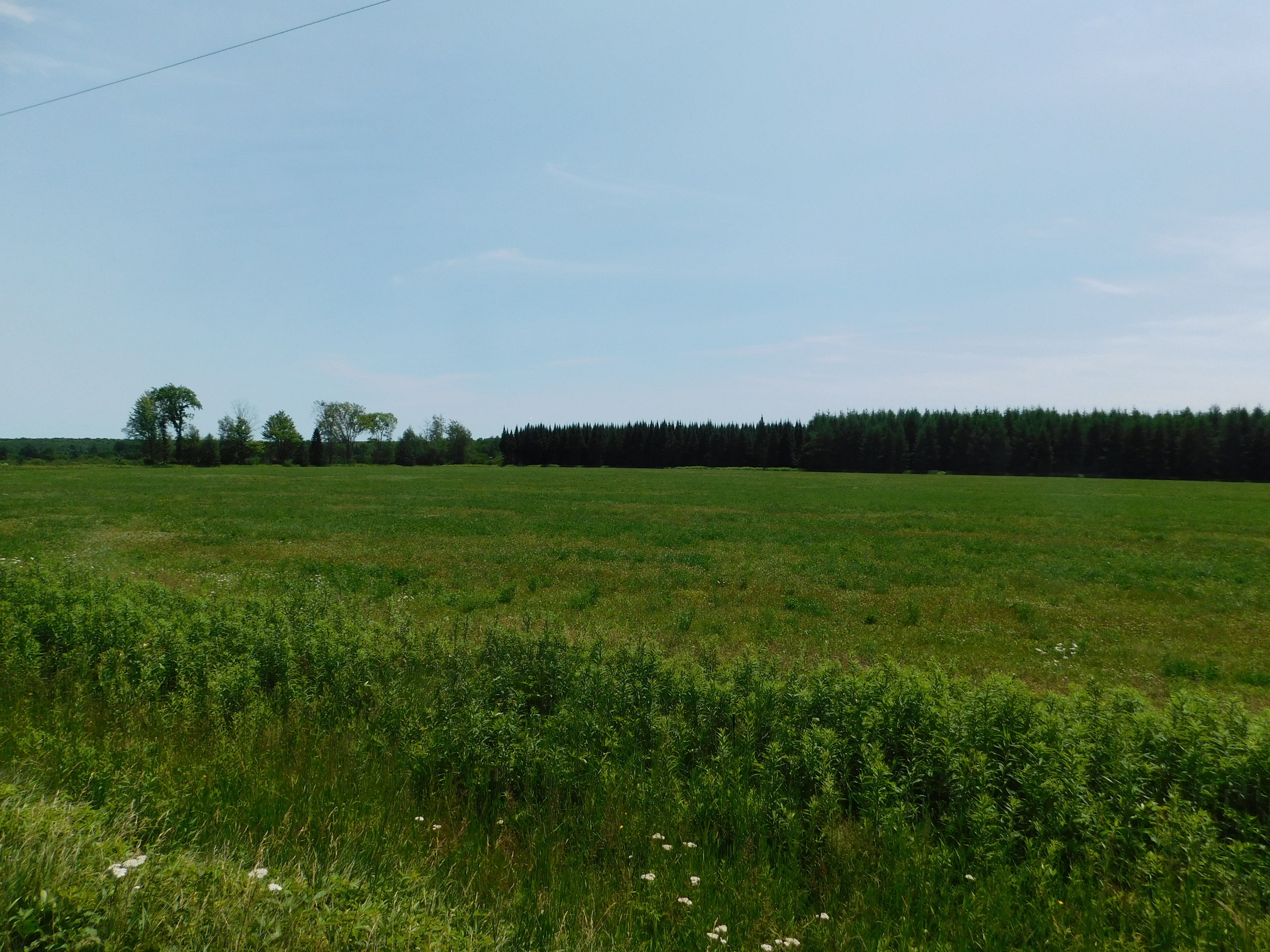 Merrill, Lincoln County, WI Undeveloped Land for sale Property ID