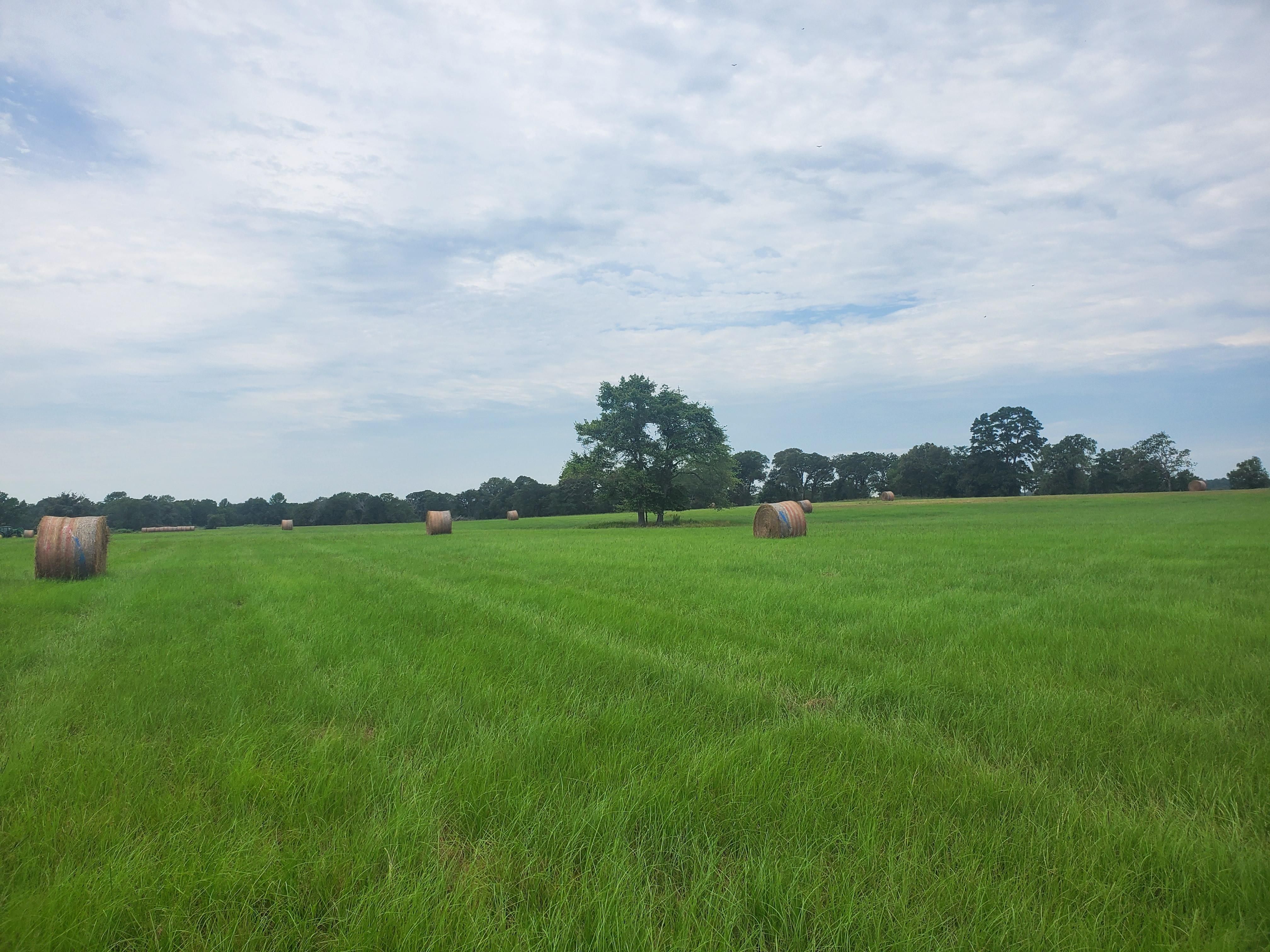 Frankston, Henderson County, TX Farms and Ranches, Recreational