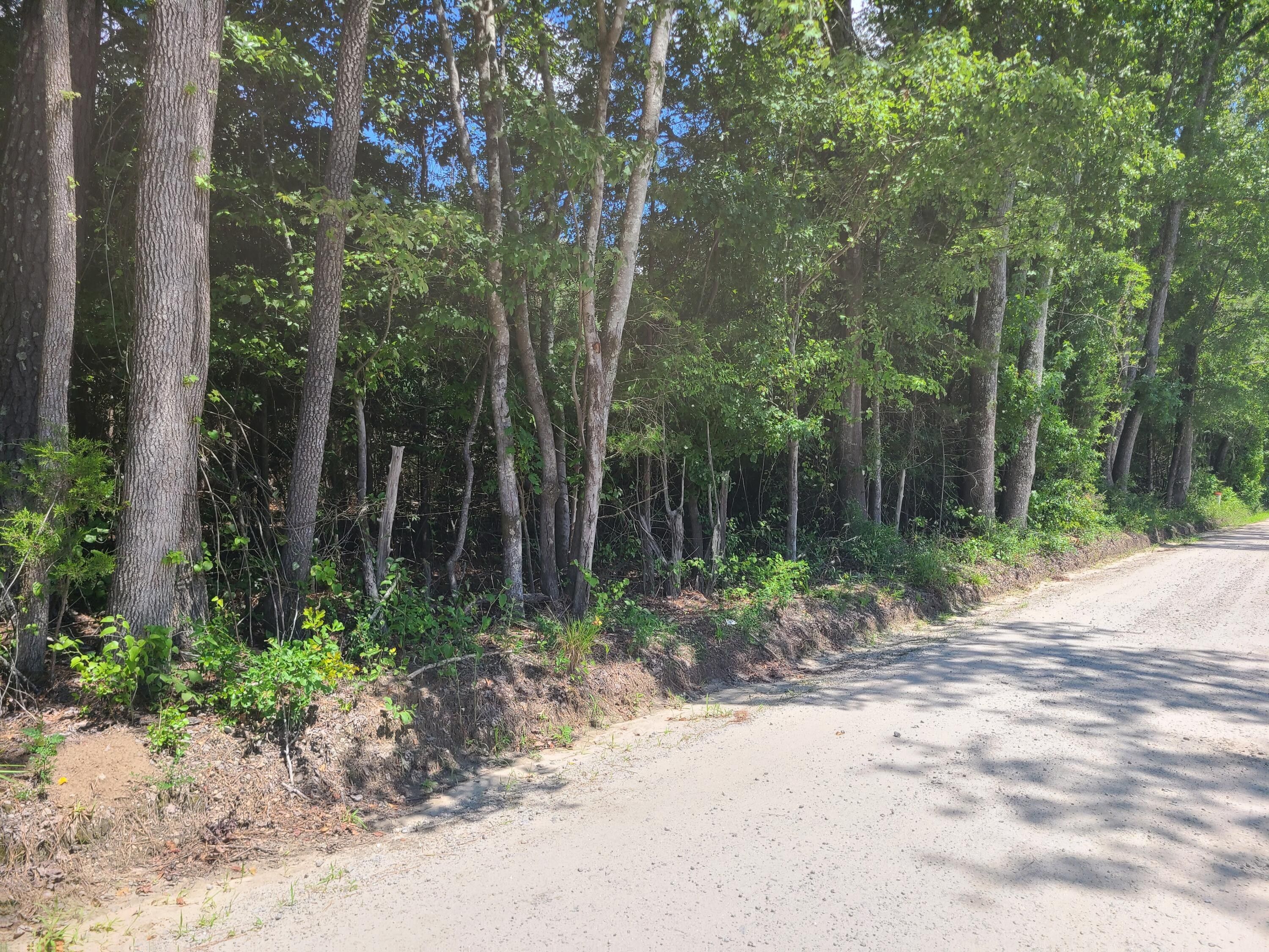 Lincolnton, Lincoln County, GA Undeveloped Land for sale Property ID