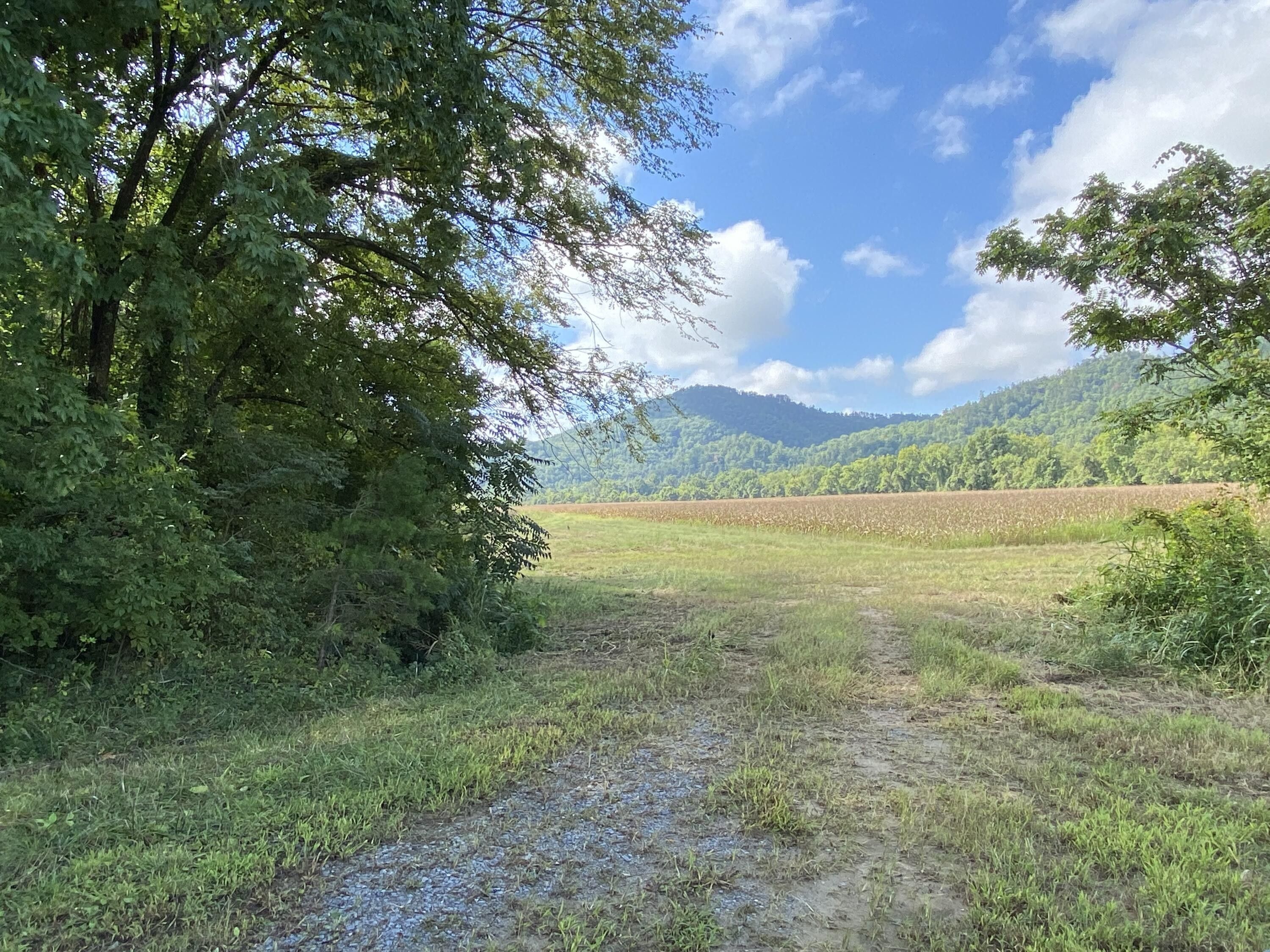 Del Rio, Cocke County, TN Farms and Ranches for sale Property ID
