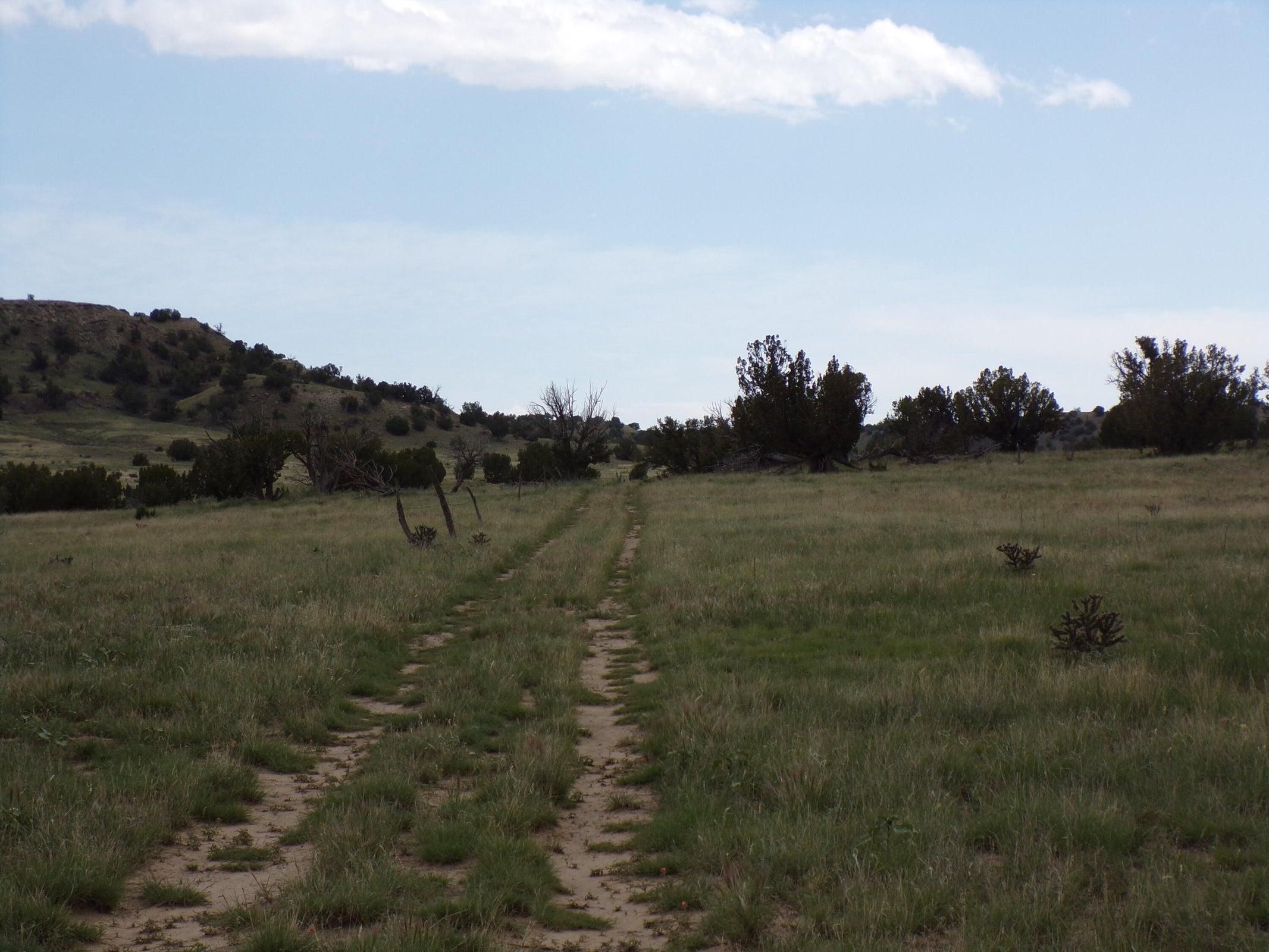 Tyrone, Las Animas County, CO Undeveloped Land for sale Property ID 416953006 LandWatch