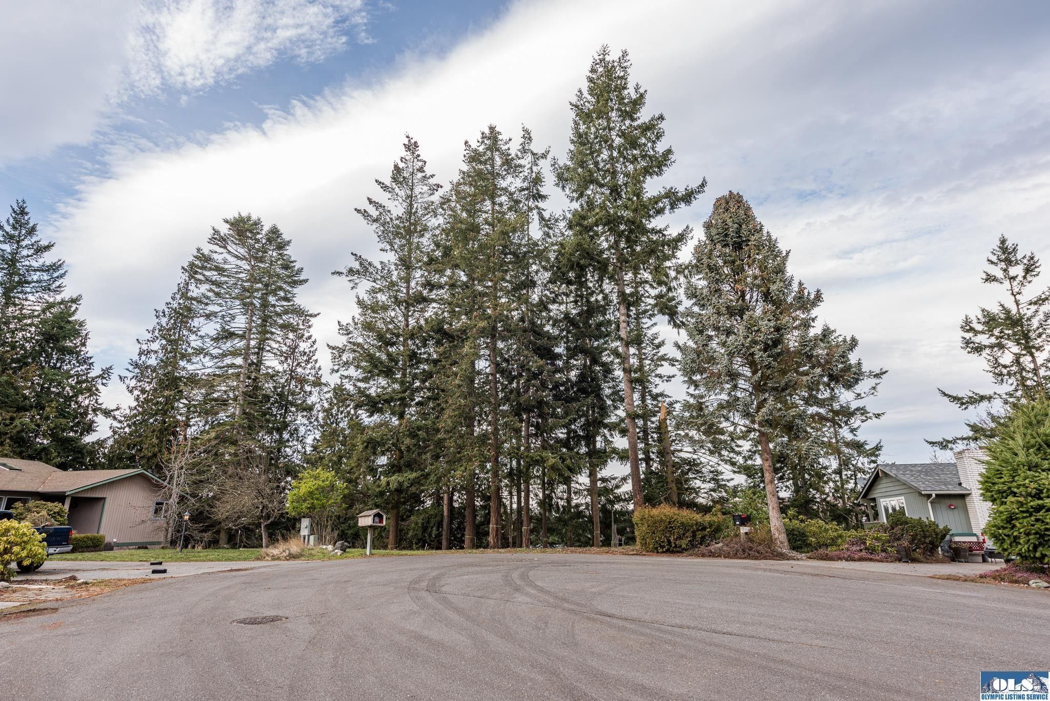 Sequim, Clallam County, WA Undeveloped Land, Homesites for sale
