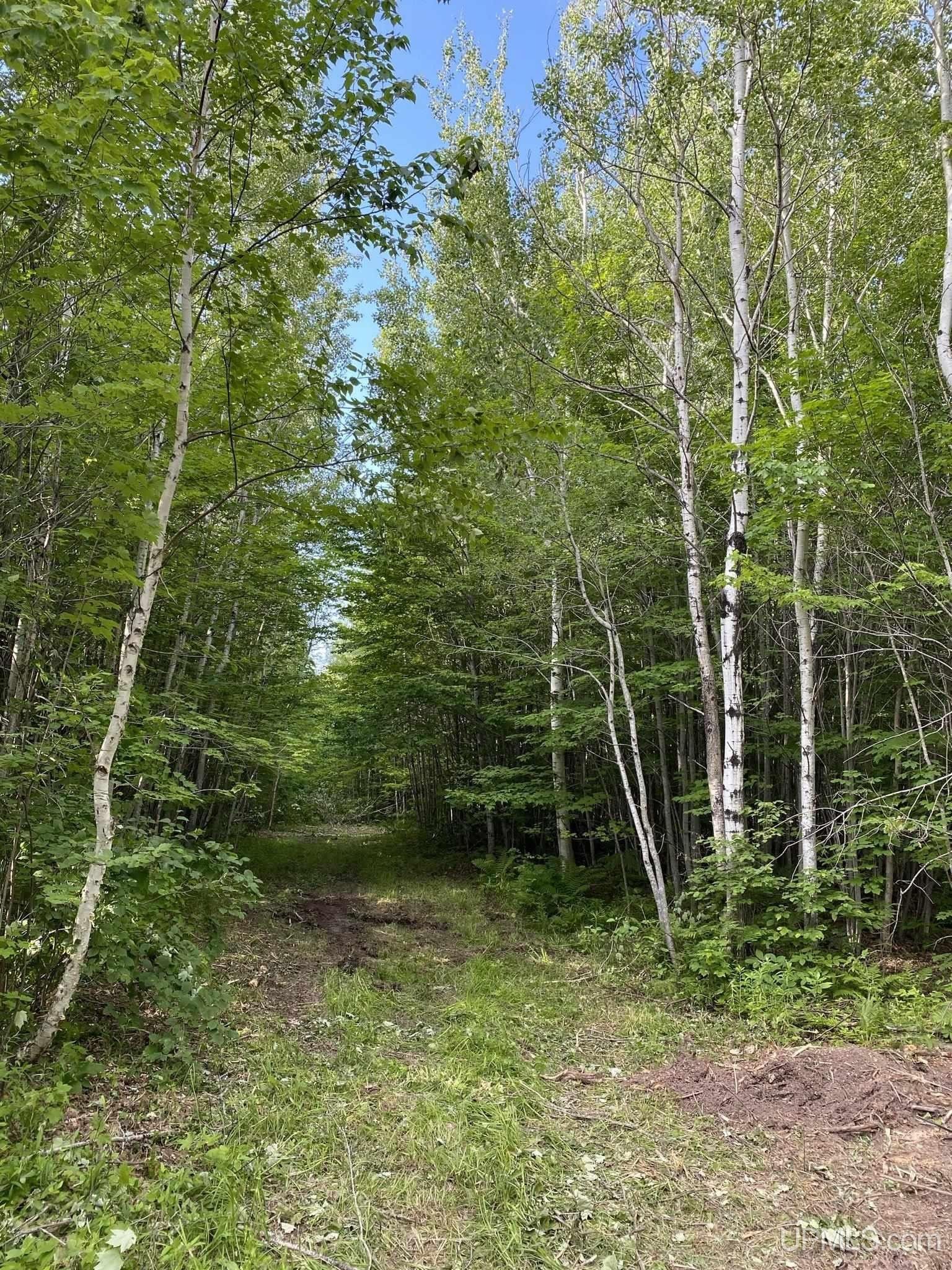 Ontonagon, Ontonagon County, MI Farms and Ranches, Lakefront Property