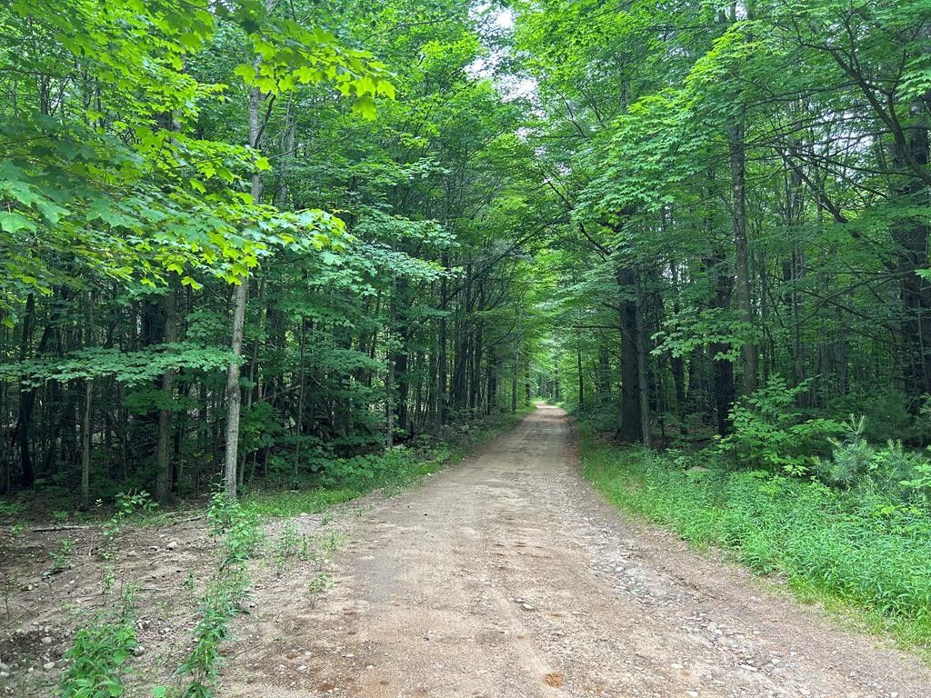 Altona, Clinton County, NY Undeveloped Land for sale Property ID