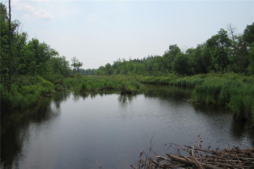 Sturgeon Lake, Aitkin County, MN Farms and Ranches, Lakefront Property