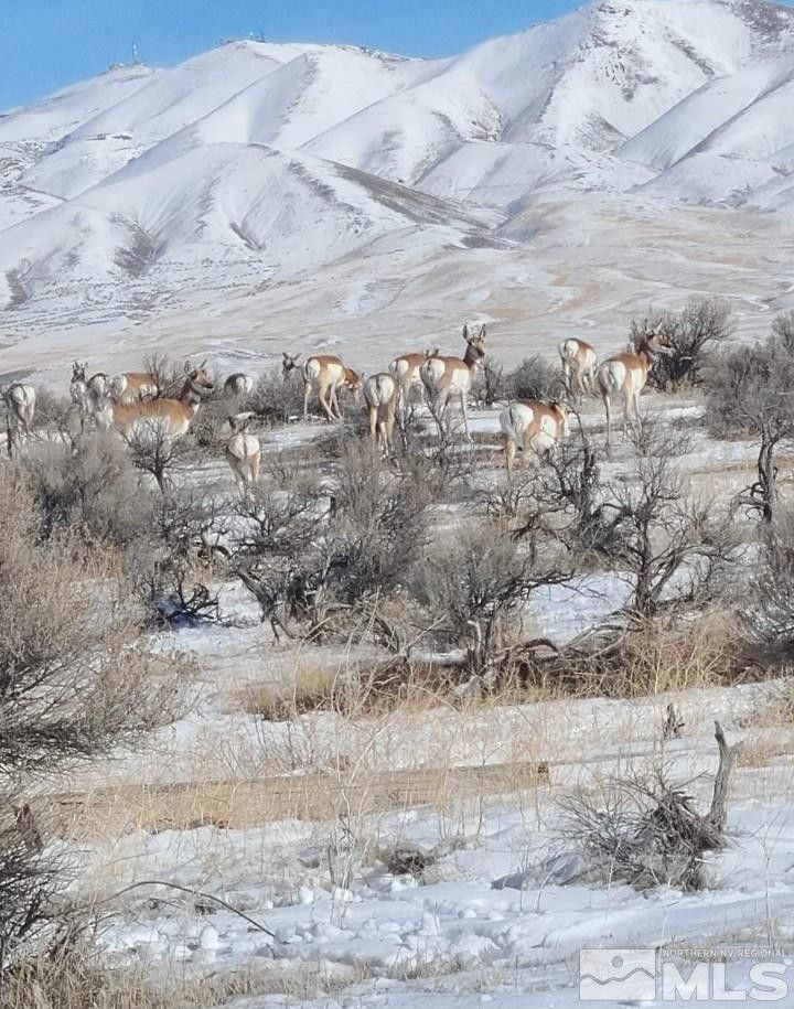 Winnemucca, Humboldt County, NV Farms and Ranches for sale Property ID