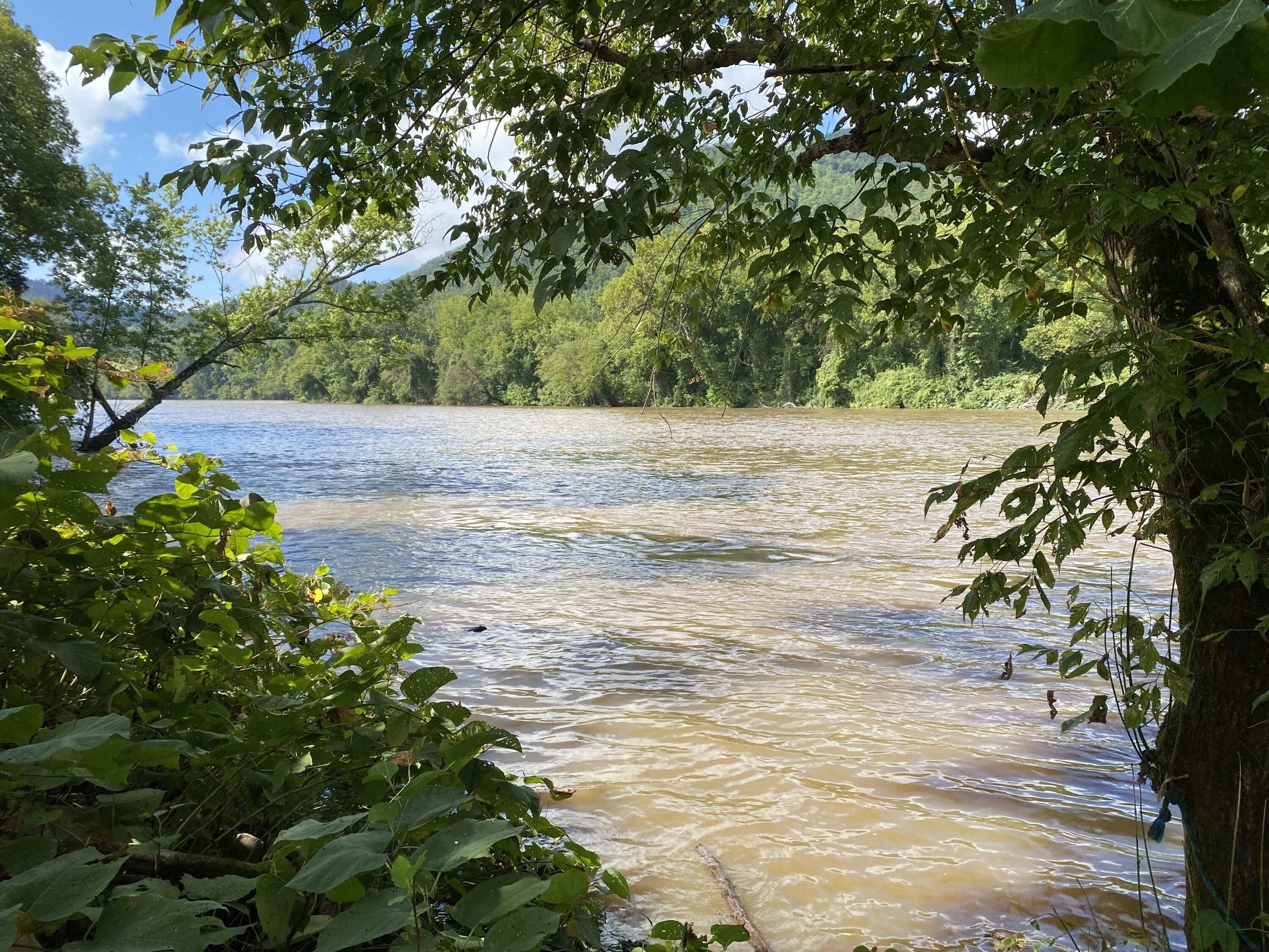 Del Rio, Cocke County, TN Farms and Ranches for sale Property ID