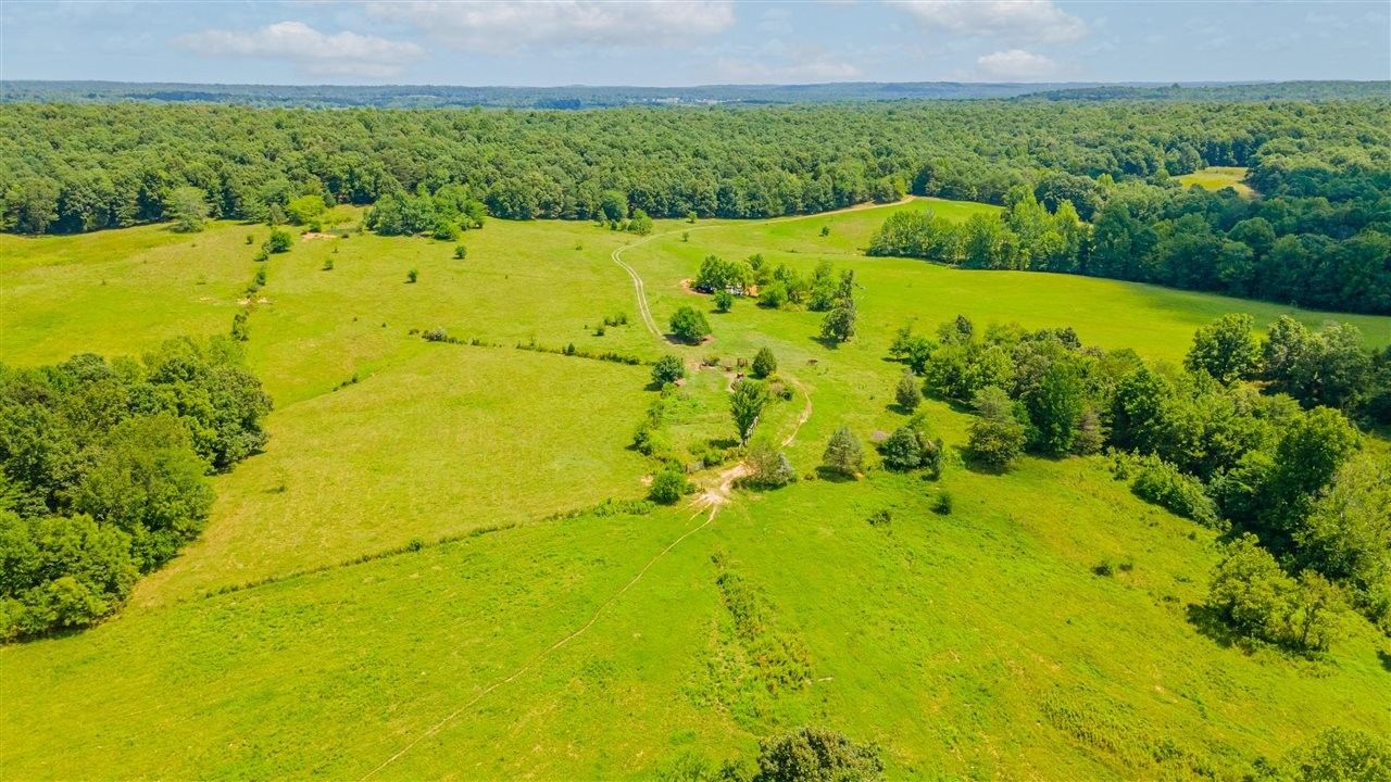 Saint Charles, Hopkins County, KY Farms and Ranches for sale Property