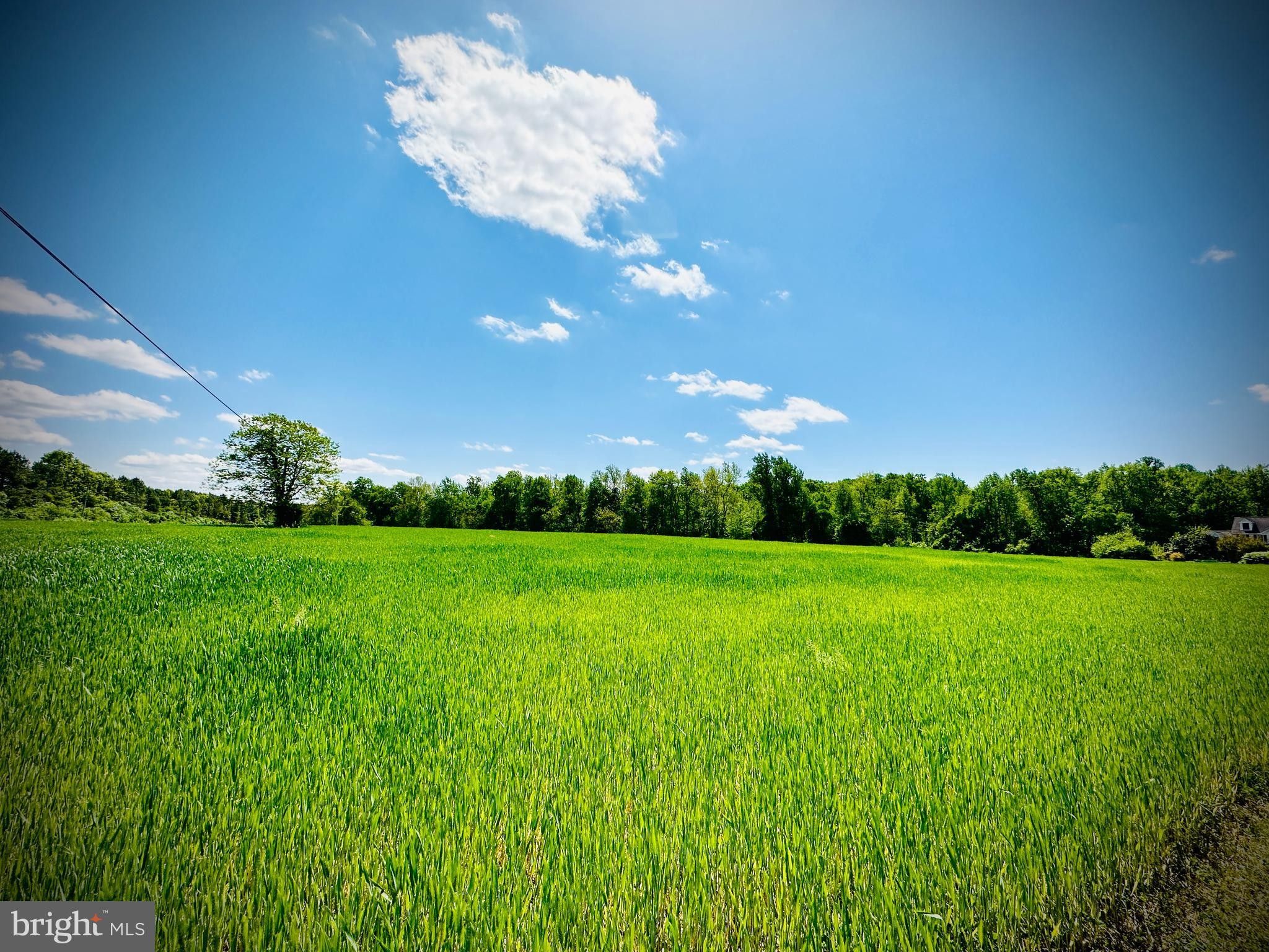 Chestertown, Queen Annes County, MD Undeveloped Land for sale Property