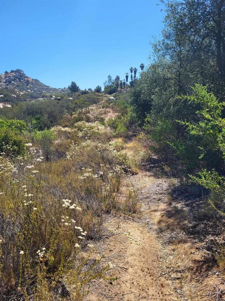 Ramona, San Diego County, CA Undeveloped Land for sale Property ID