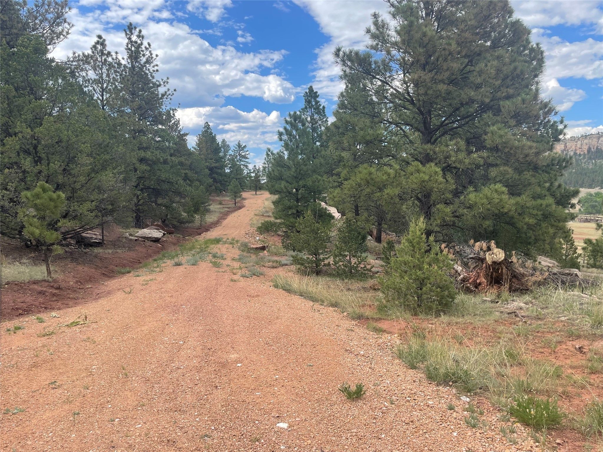Mora, Mora County, NM Undeveloped Land for sale Property ID 416959703